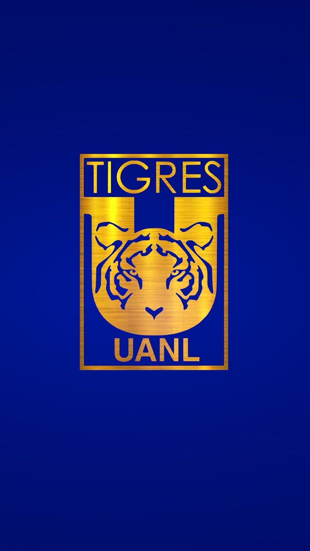 Tigres UANL Wallpapers - Top Free Tigres UANL Backgrounds - WallpaperAccess