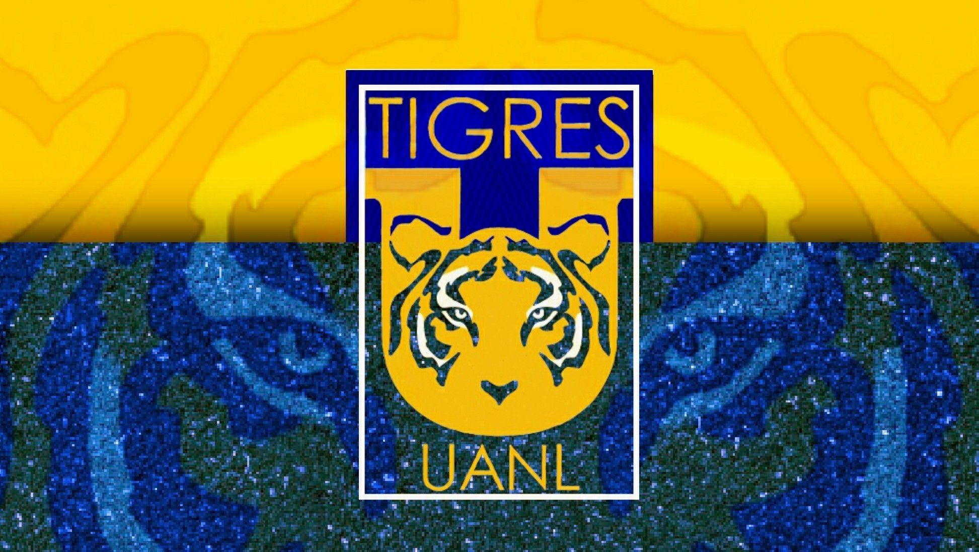 Tigres UANL Wallpapers - Top Free Tigres UANL Backgrounds - WallpaperAccess