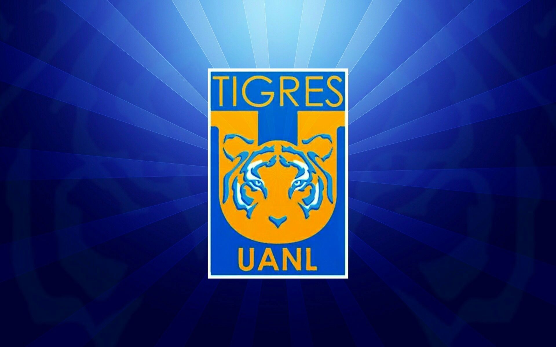 Tigres UANL Wallpapers - Top Free Tigres UANL Backgrounds - WallpaperAccess