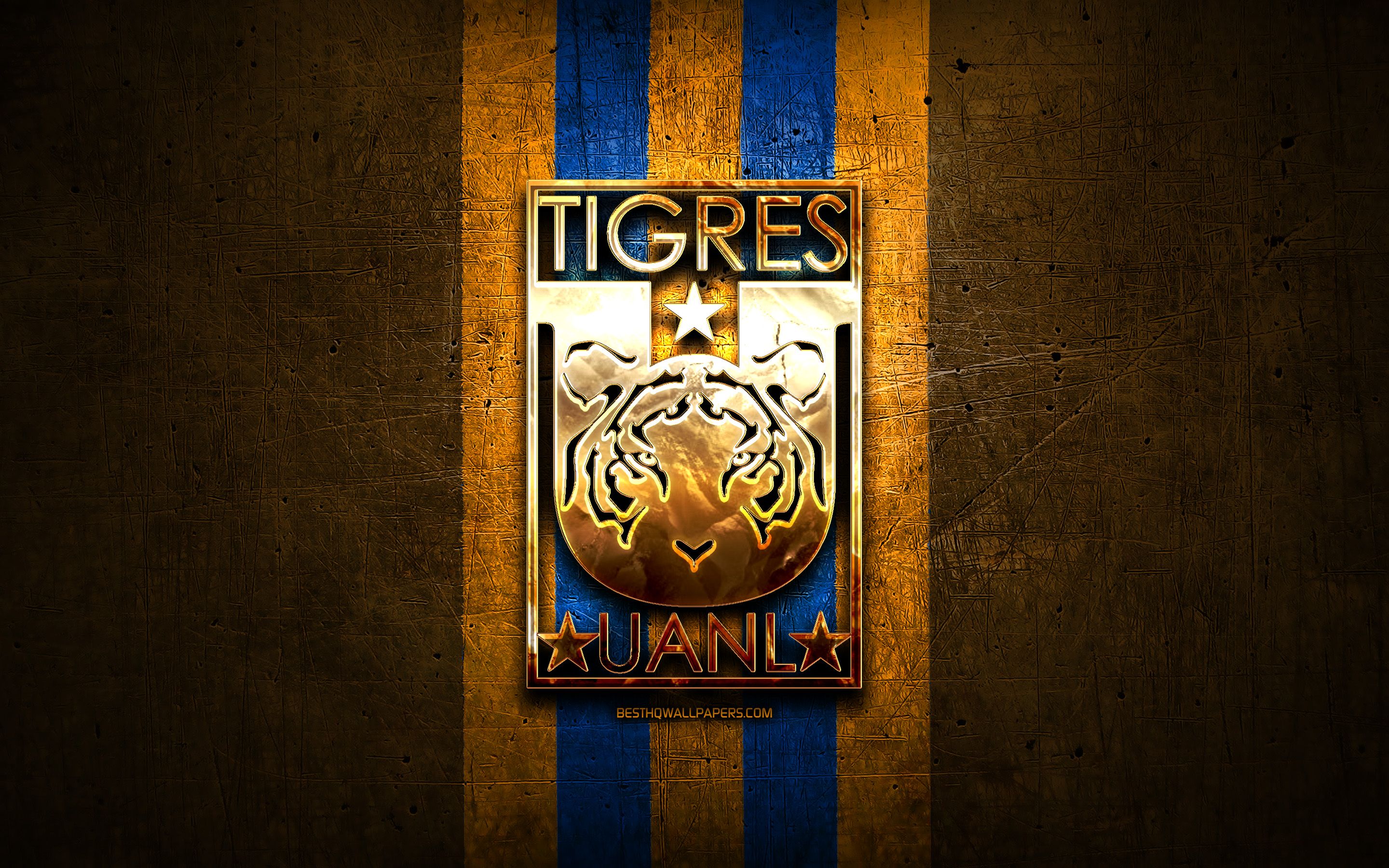 Tigres Uanl Wallpapers - Top Free Tigres Uanl Backgrounds - Wallpaperaccess