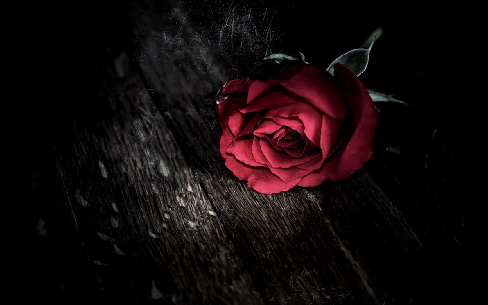 HD wallpaper Book With Red Rose passionate moments wall black love 3d  and abstract  Wallpaper Flare