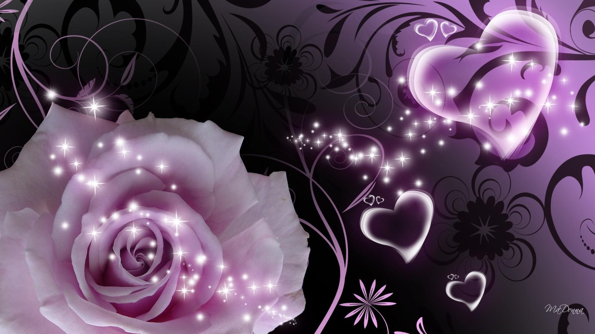 1920x1080 Purple Rose and Heart hình nền