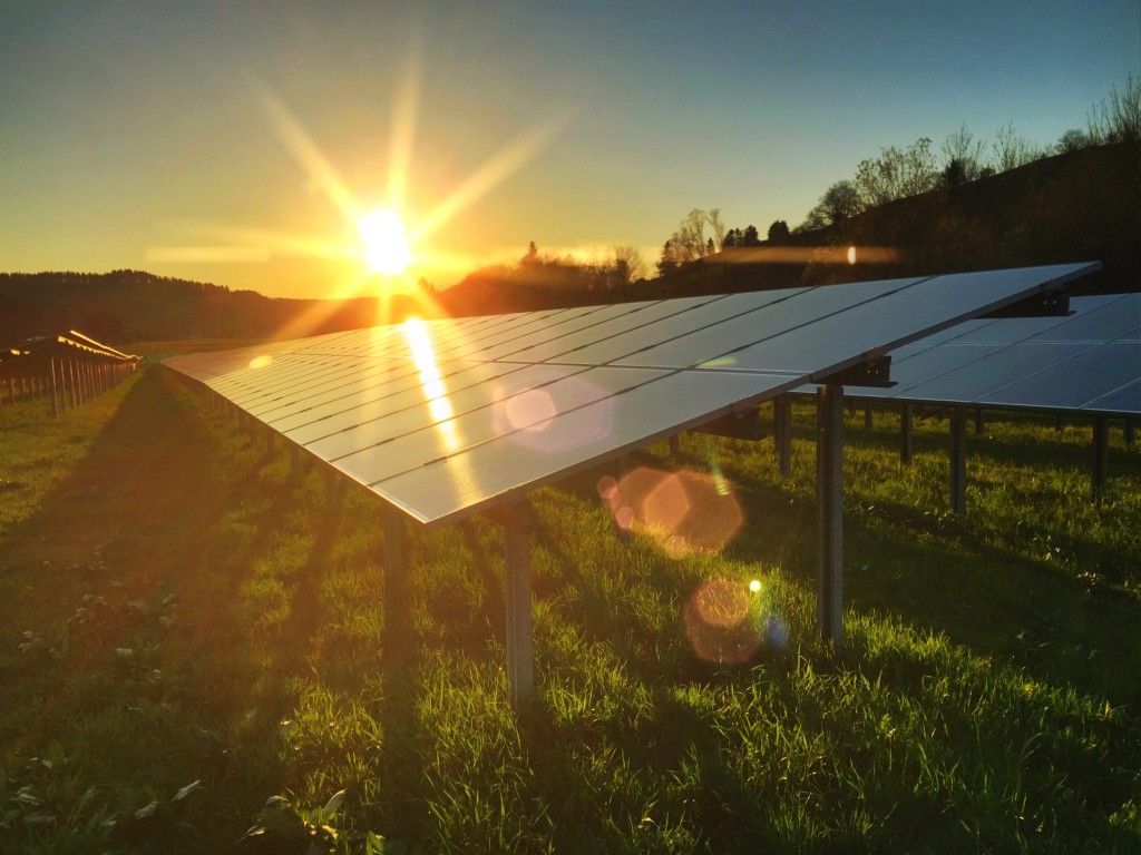 1024x768 Solar Panels Go Green