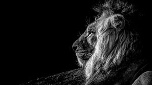 300x168 Profile wallpaper hd, desktop background, image and picture
