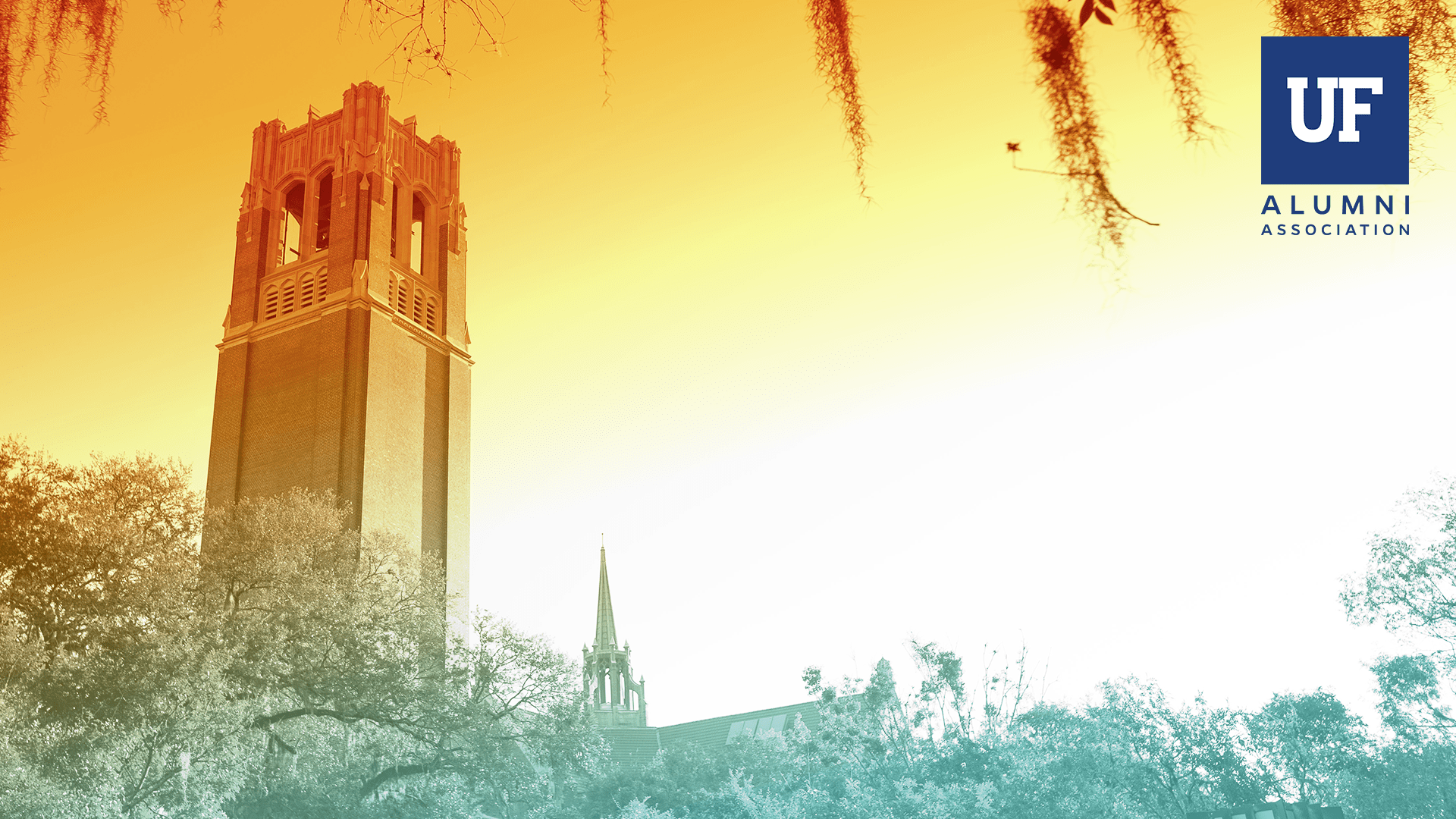 Alumni wallpapers top free alumni backgrounds wallpaperaccess