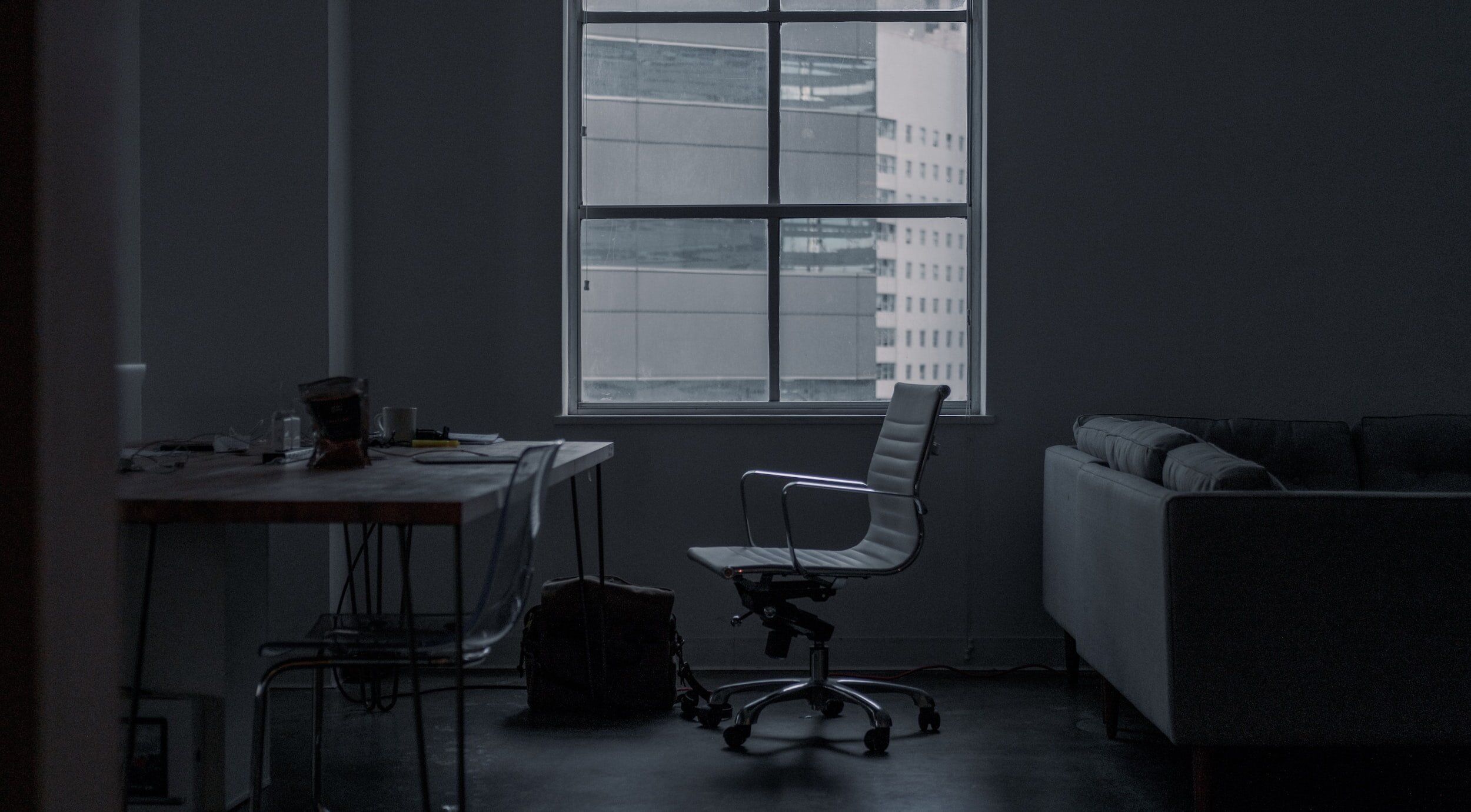 2500x1380 Best Plants For Low Light Offices