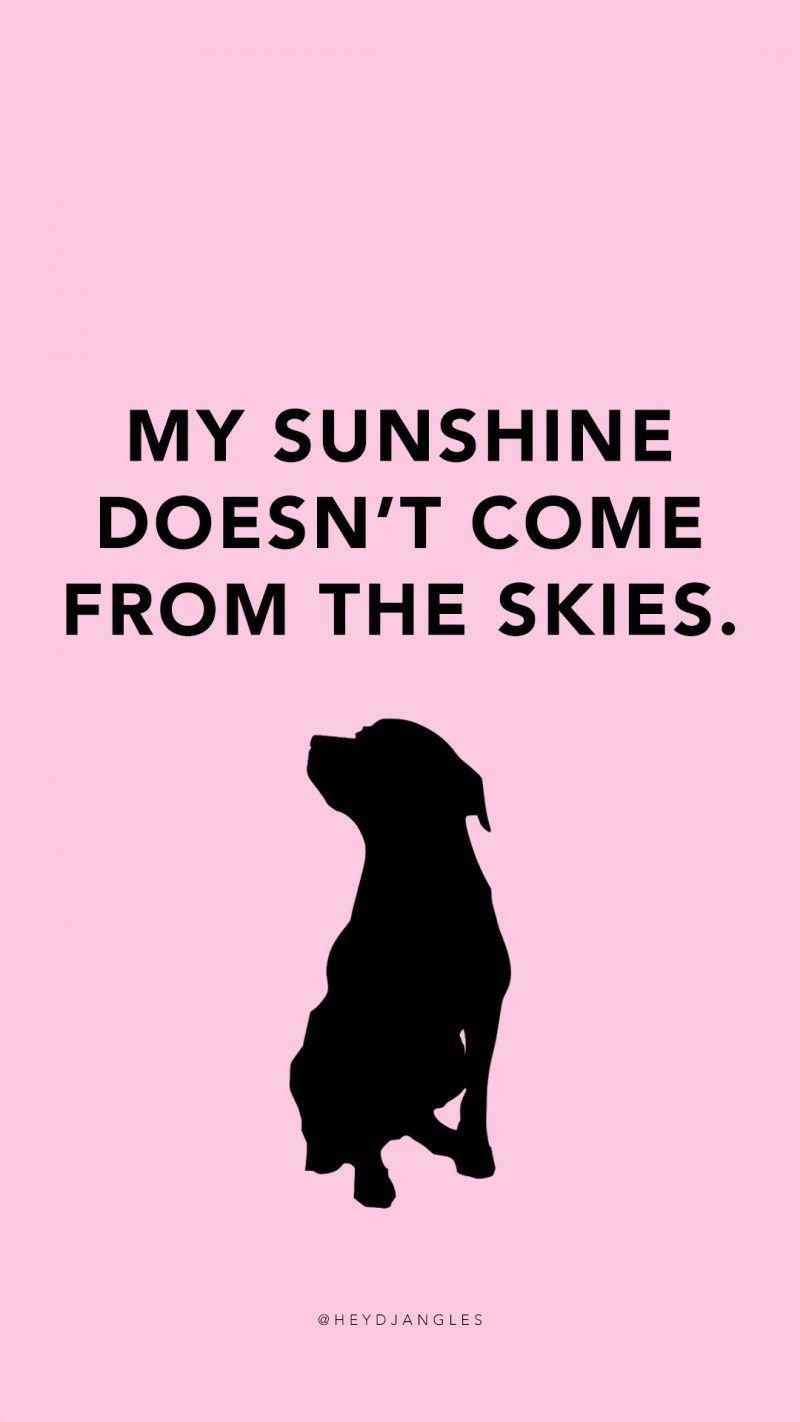 800x1422 Free HD Dog Quote Wallpaper & Background, Djangles