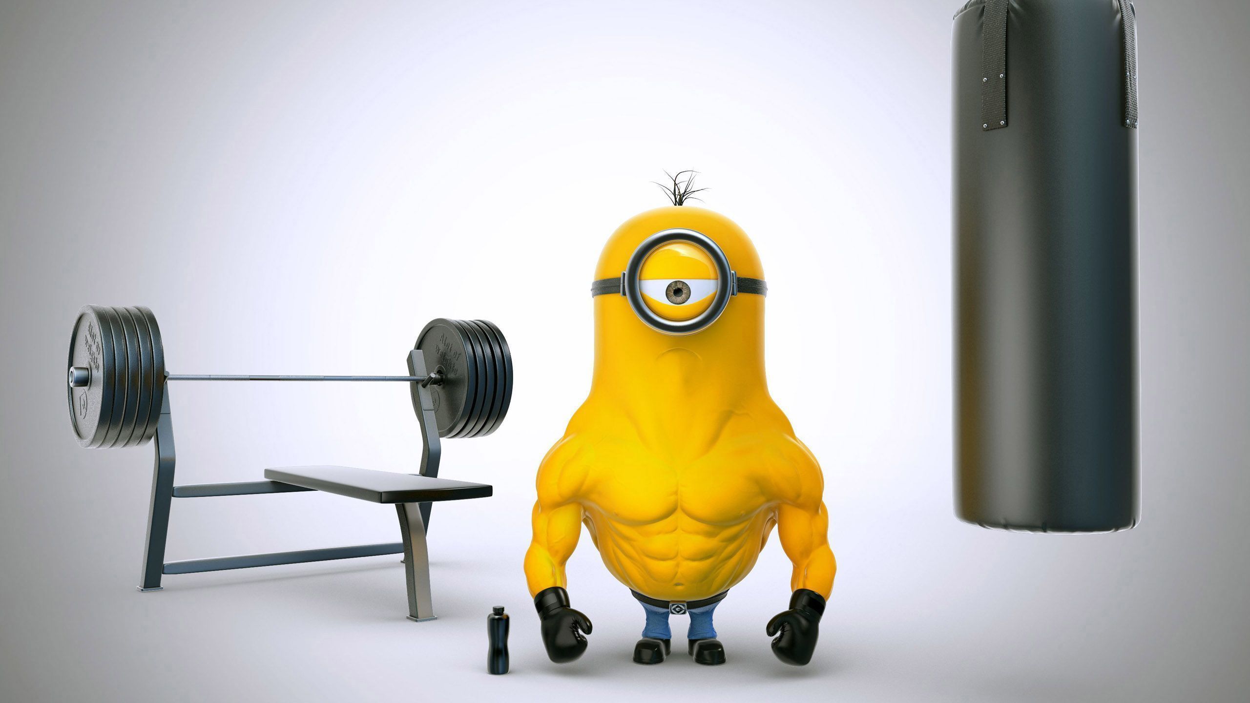 2560x1440 Funny Wallpaper Full HD Free Download For Desktop Laptop Macbook Wallpaperxyz.com 45.com HD Wallpaper Download For Desktop Computer