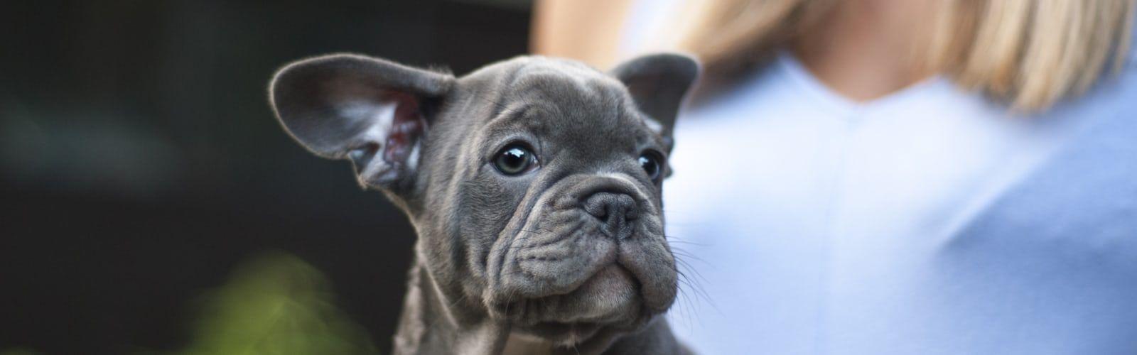 1600x500 Cute Wallpaper [Download]. 's collection