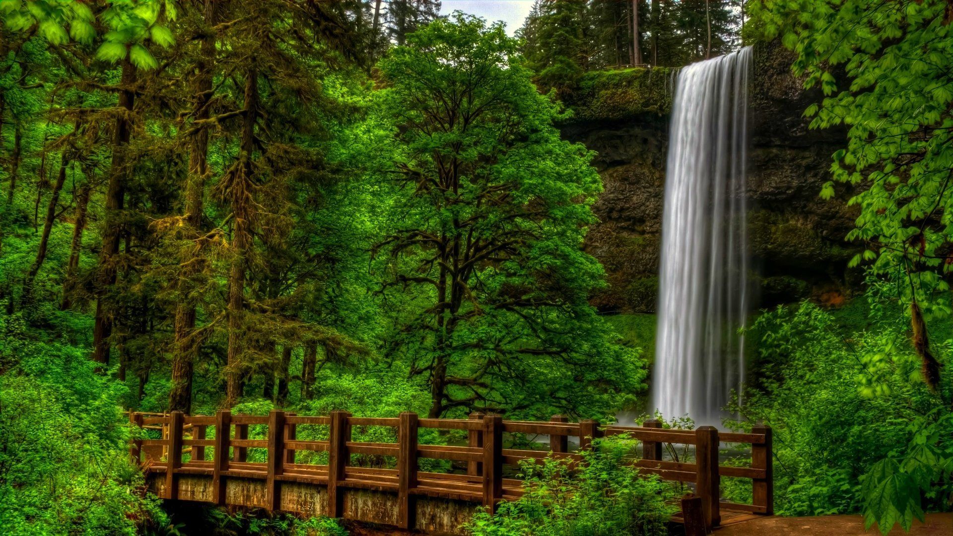 1920x1080 Nature view trees forest park bridge waterfall water landscape scenery wallpaperx1080