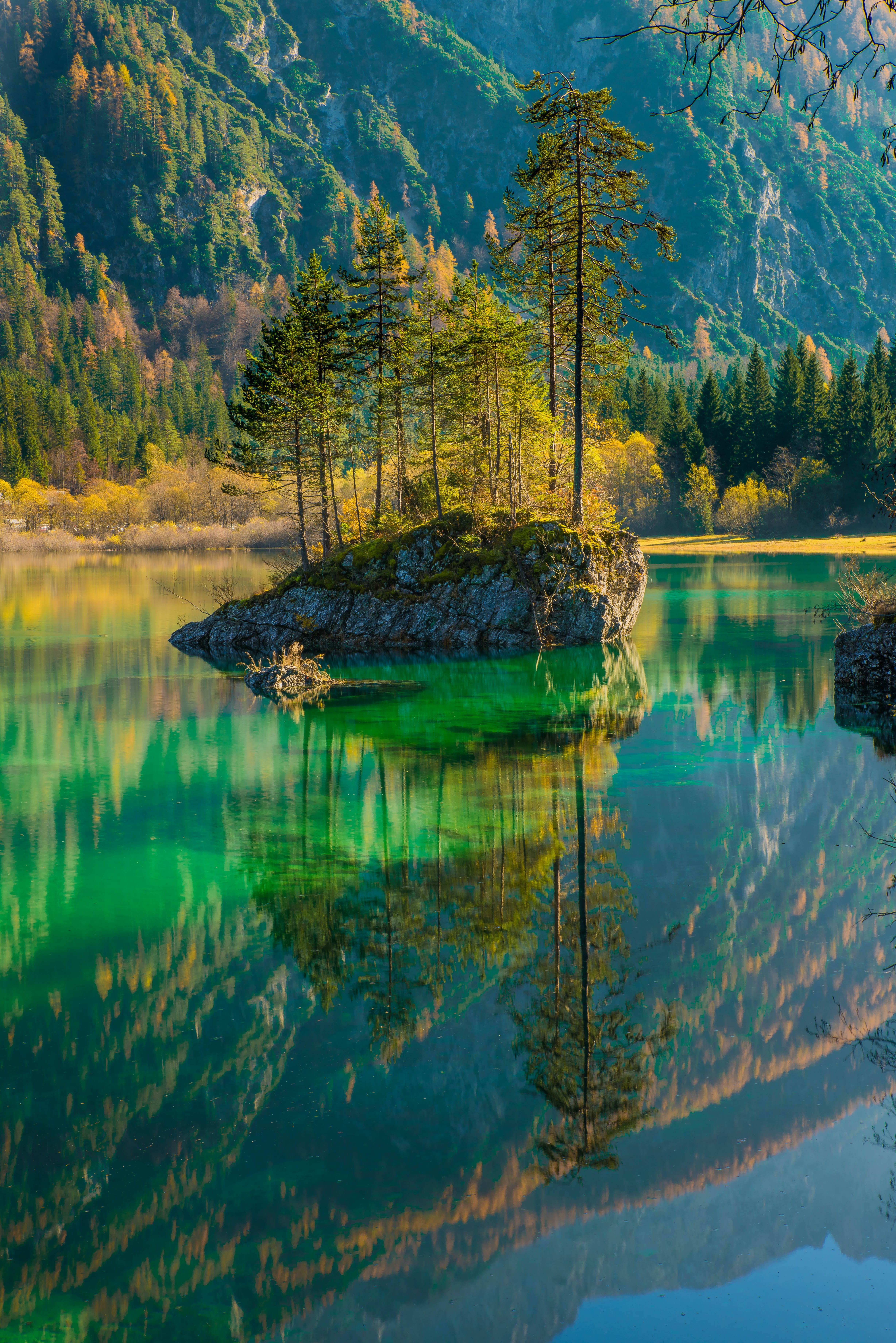 4912x7360 Scenic View of Lake in Forest · Free