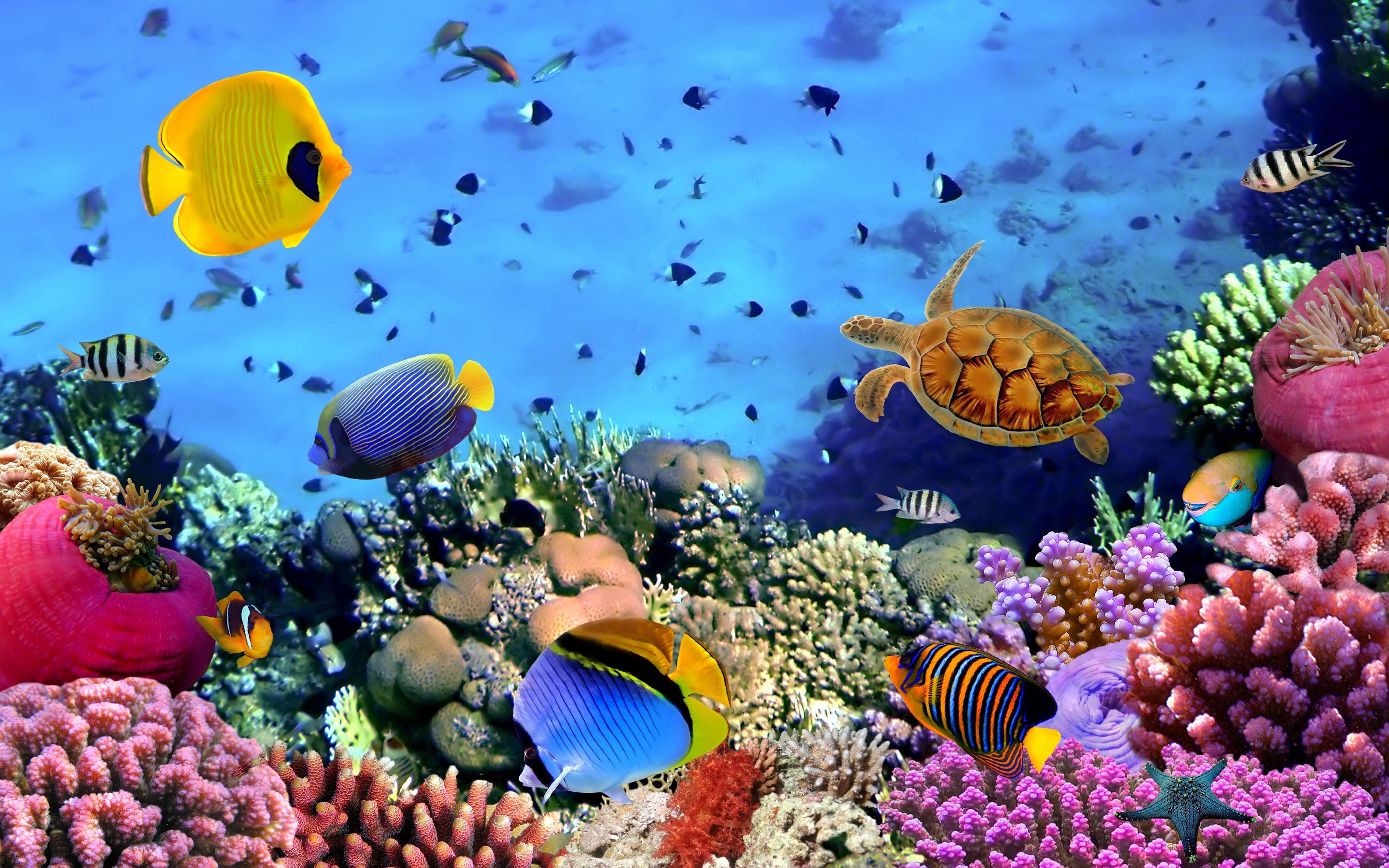 Premium Photo  Wonderful and beautiful underwater world with corals and  tropical fish 3d render raster illustration