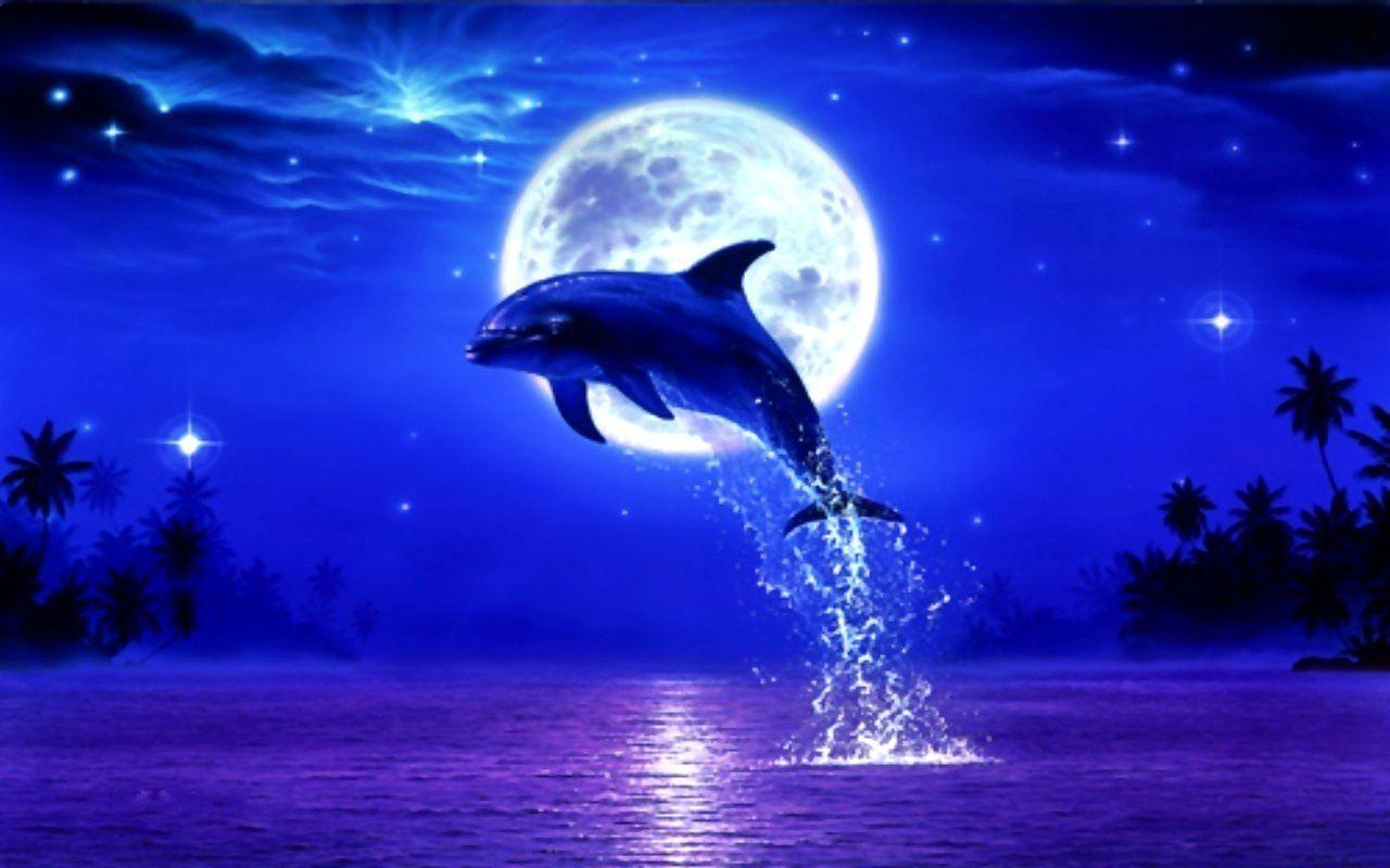 Cool Dolphin Wallpapers - Top Free Cool Dolphin Backgrounds -  WallpaperAccess