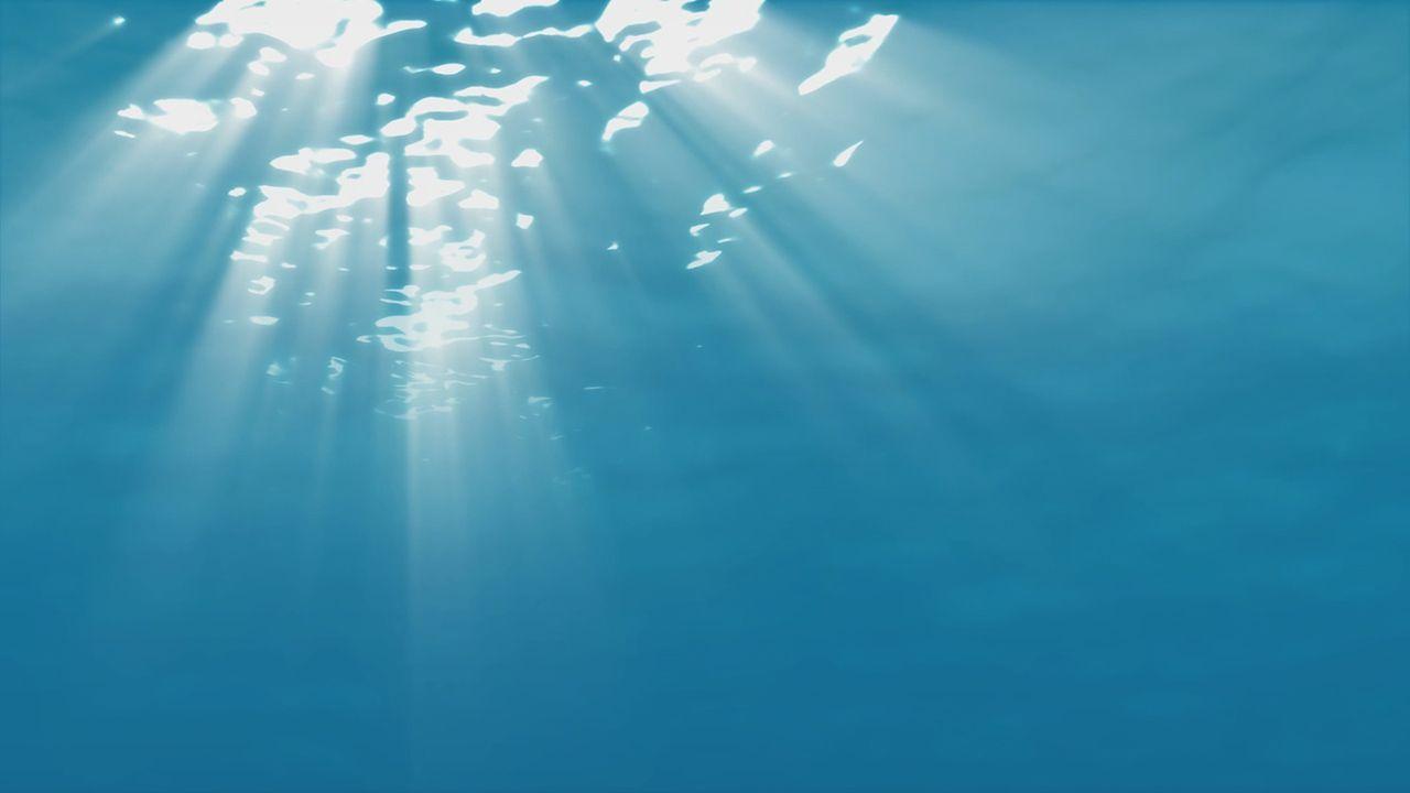 Moving Underwater Wallpapers - Top Free Moving Underwater Backgrounds ...