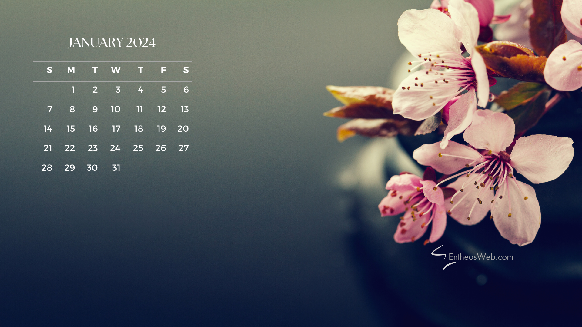 1920x1080 January 2024 Calendar Desktop Wallpaper