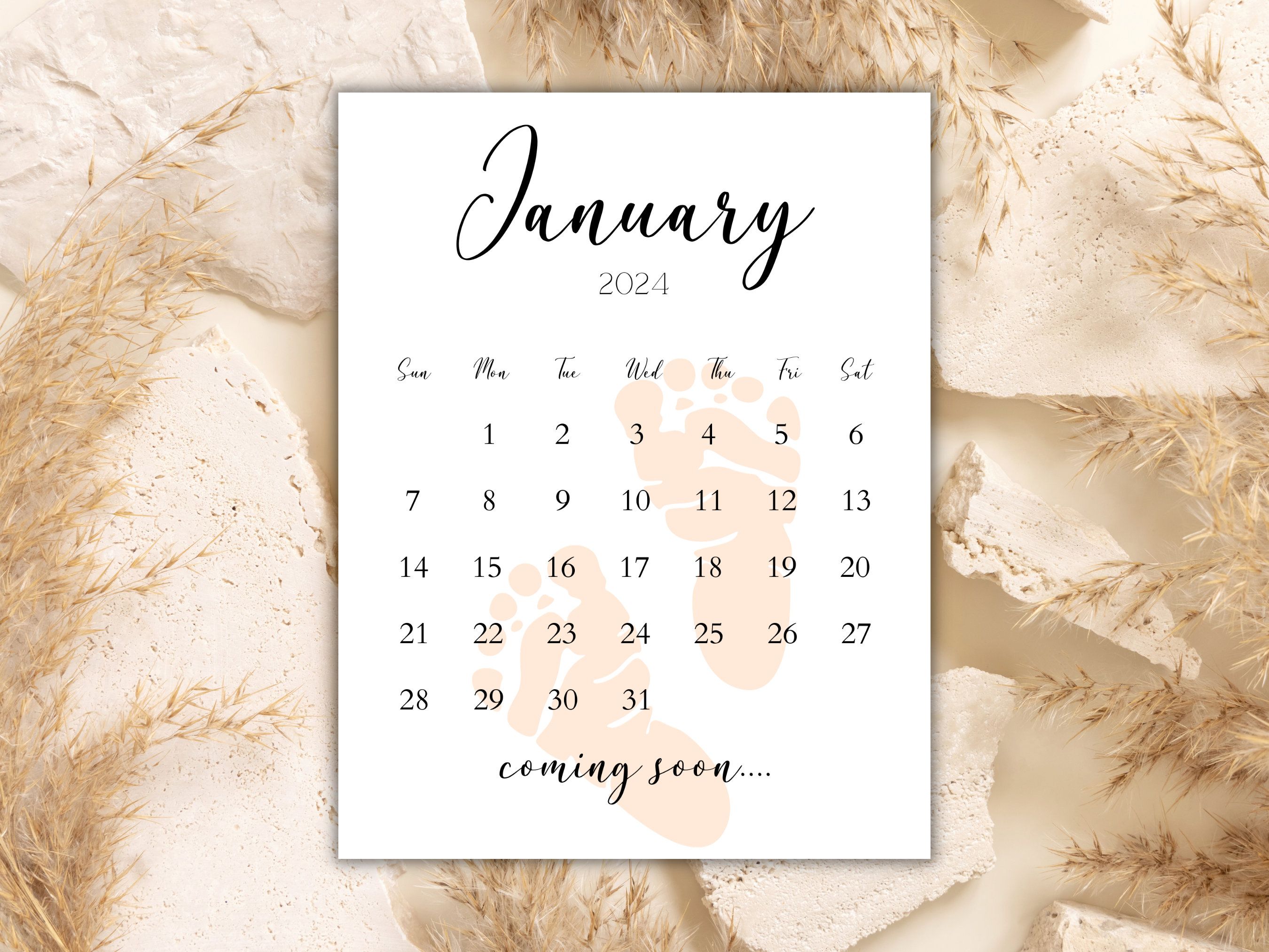2700x2025 January 2024 Baby Announcement Printable Due Date Calendar