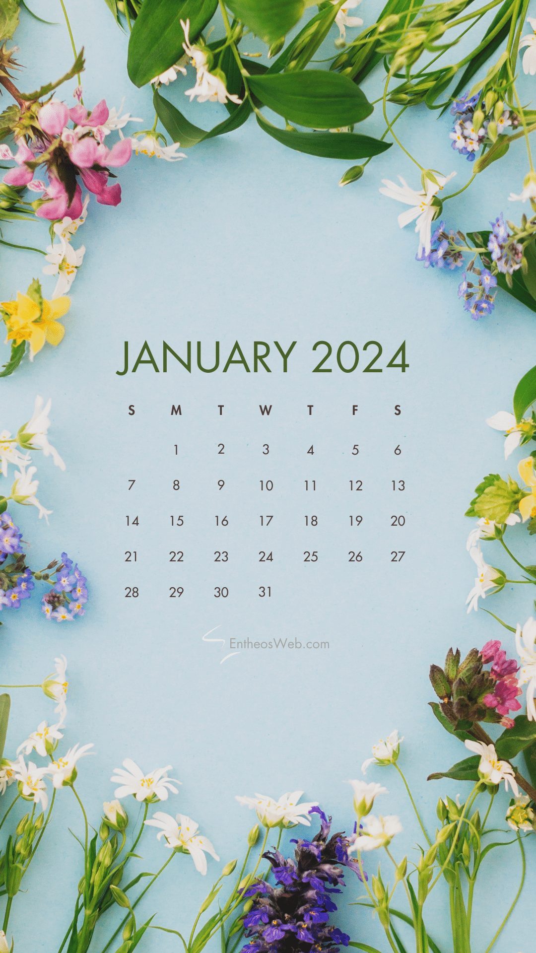 1080x1920 January 2024 Phone Wallpaper Calendars