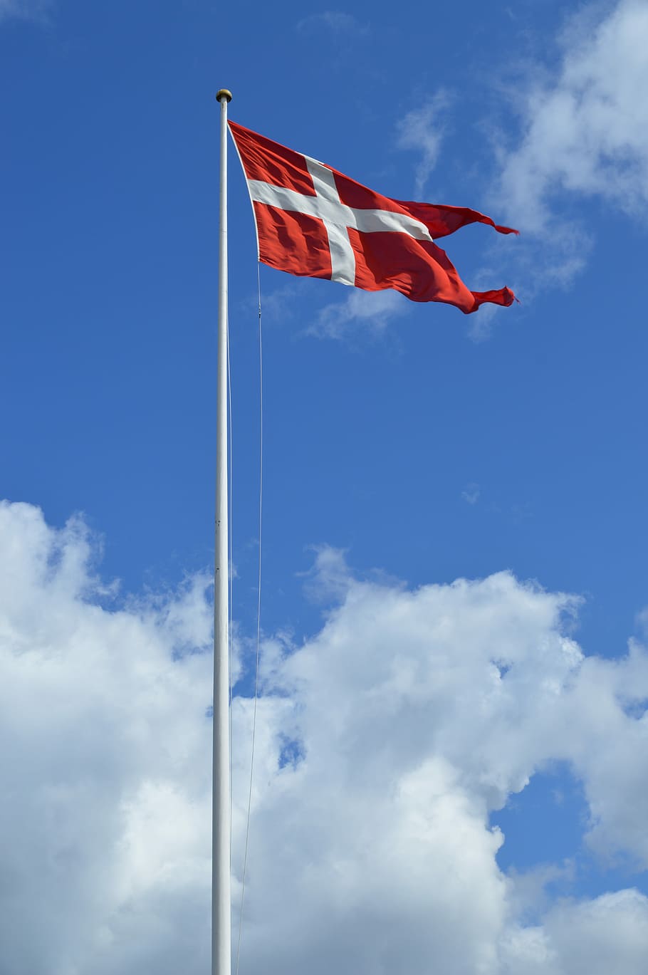 910x1369 Denmark Flag Phone Wallpaper
