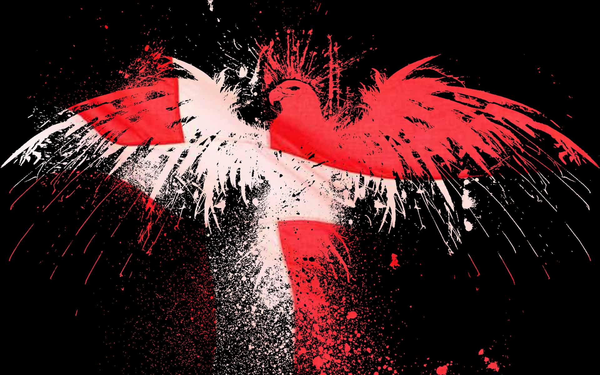 1920x1200 eagles, flags, Denmark Wallpaper /