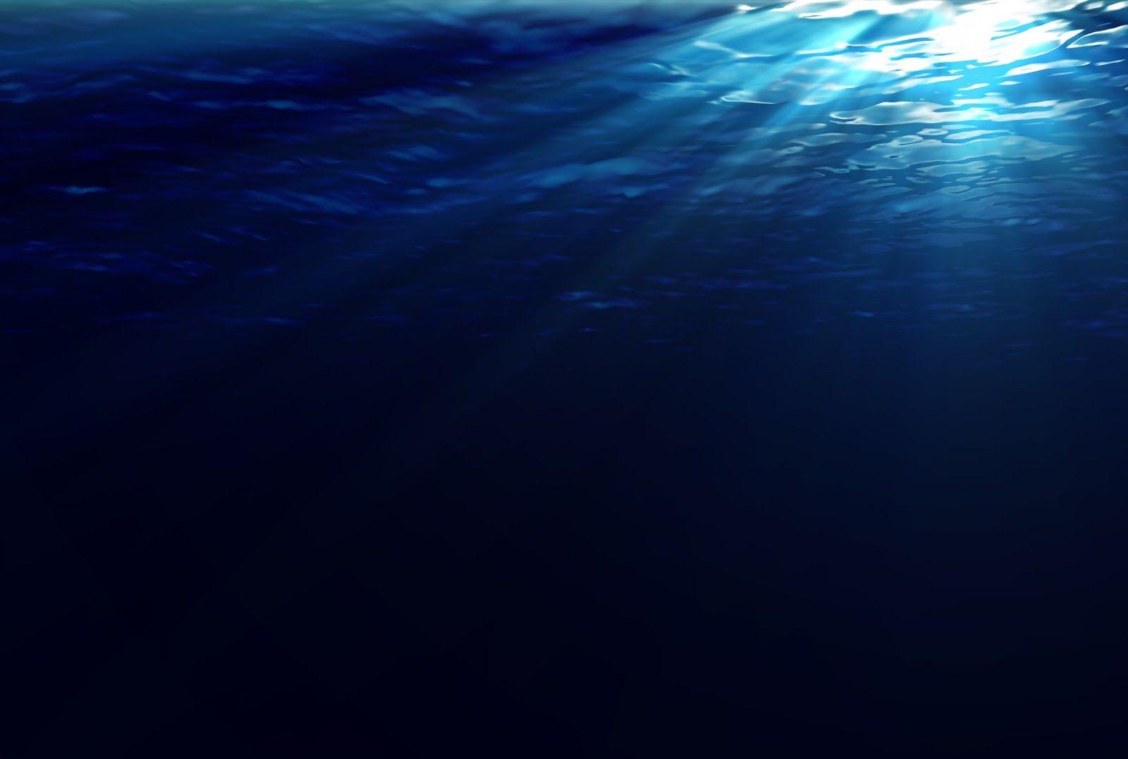 1600x1077 Amazing Underwater Wallpaper And The Whale