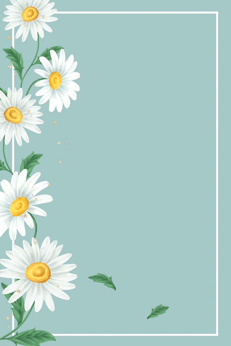 800x1200 Download Cute Daisy Flower Frame Border Wallpaper