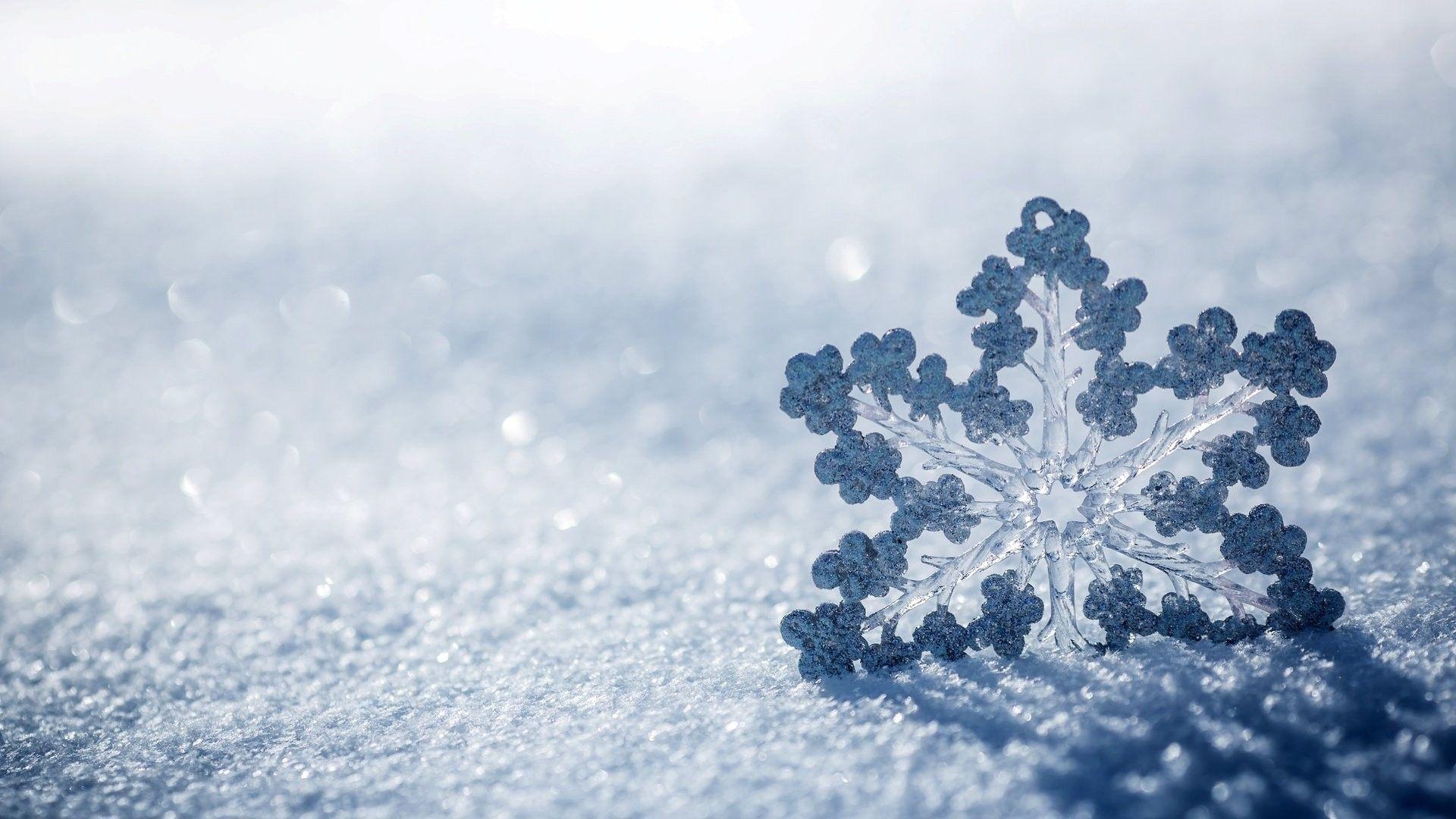 Beautiful Snow Wallpapers - Top Free Beautiful Snow Backgrounds -  WallpaperAccess