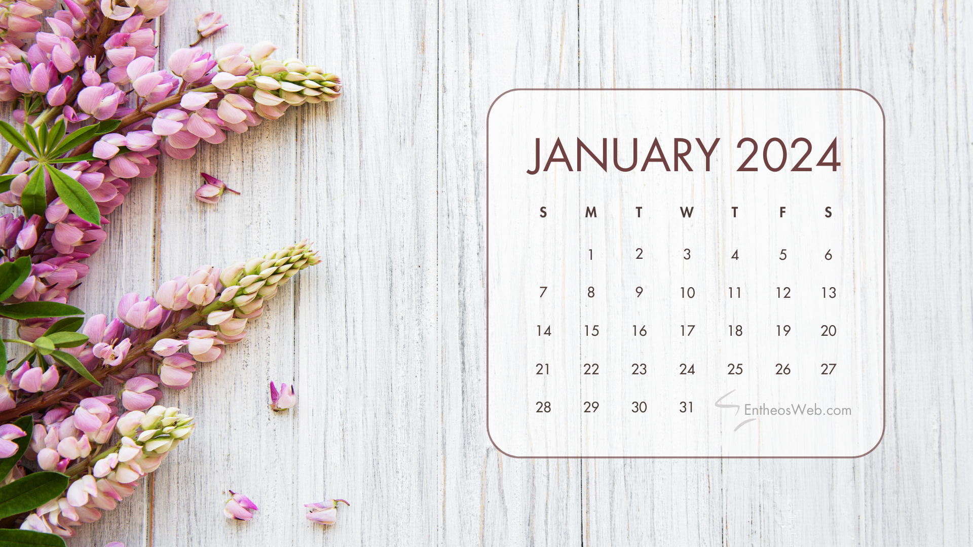 1920x1080 January 2024 Calendar Desktop Wallpaper