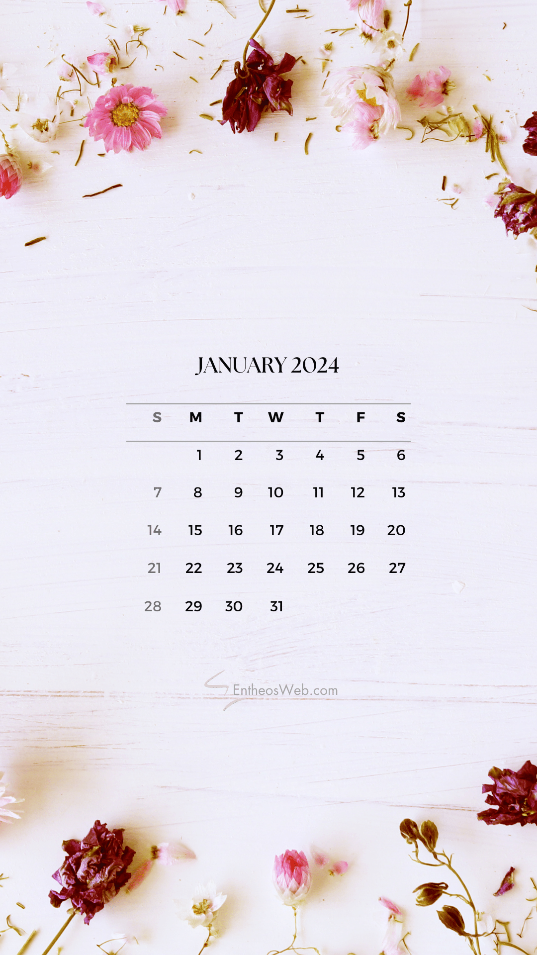1080x1920 January 2024 Phone Wallpaper Calendars