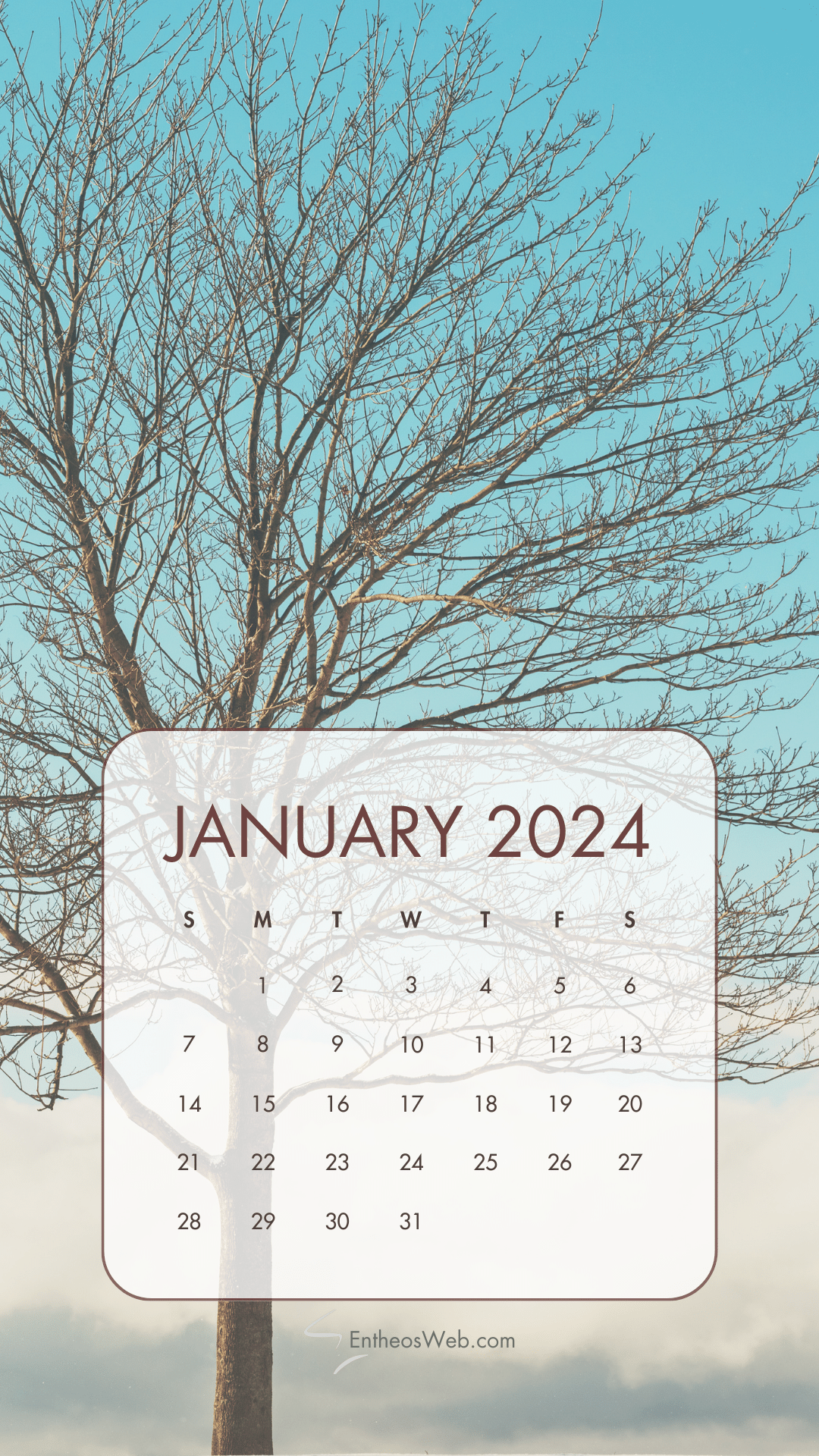 1080x1920 January 2024 Phone Wallpaper Calendars