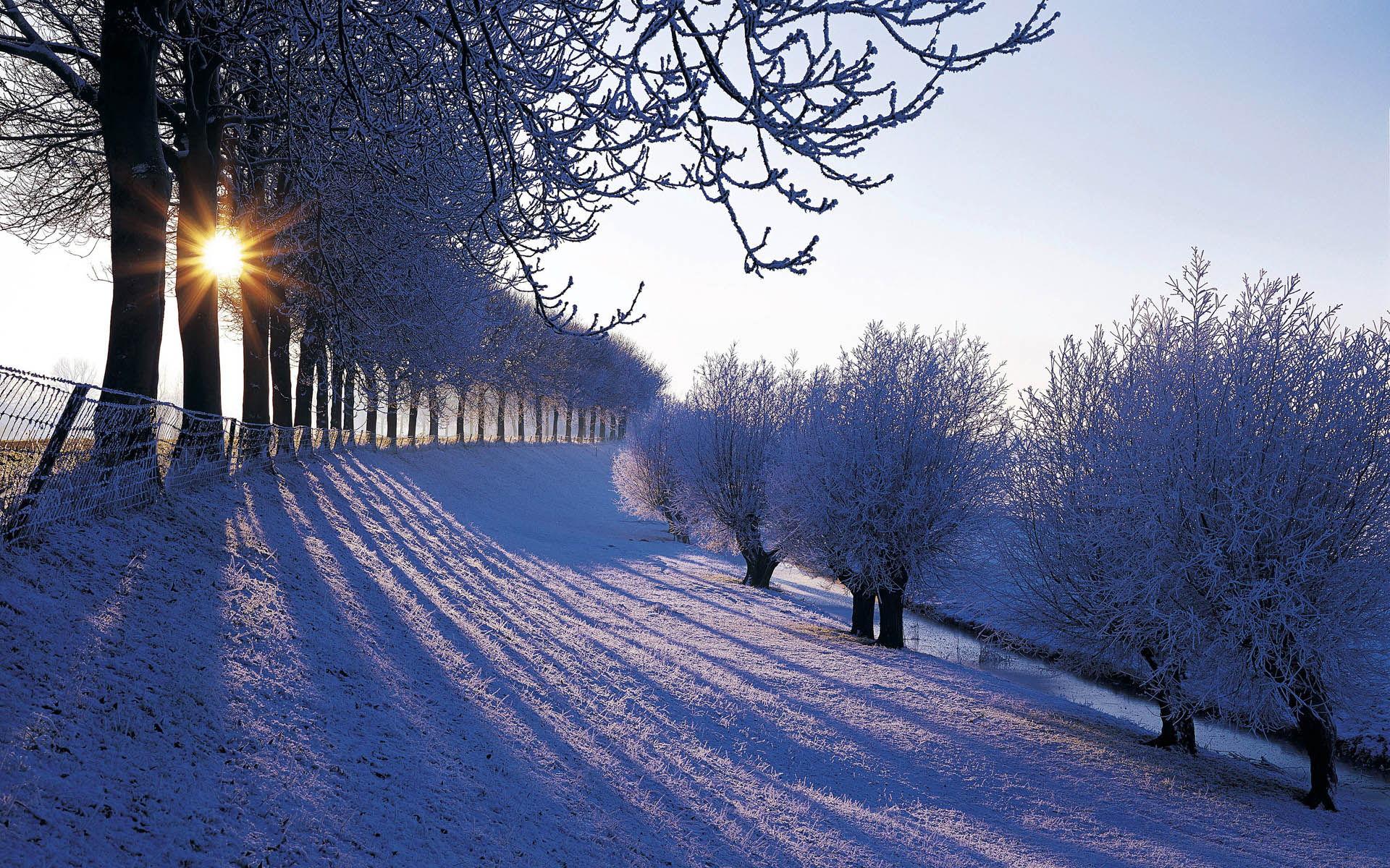 1920x1200 Beautiful Snow Wallpaper Wallpaper. Download HD