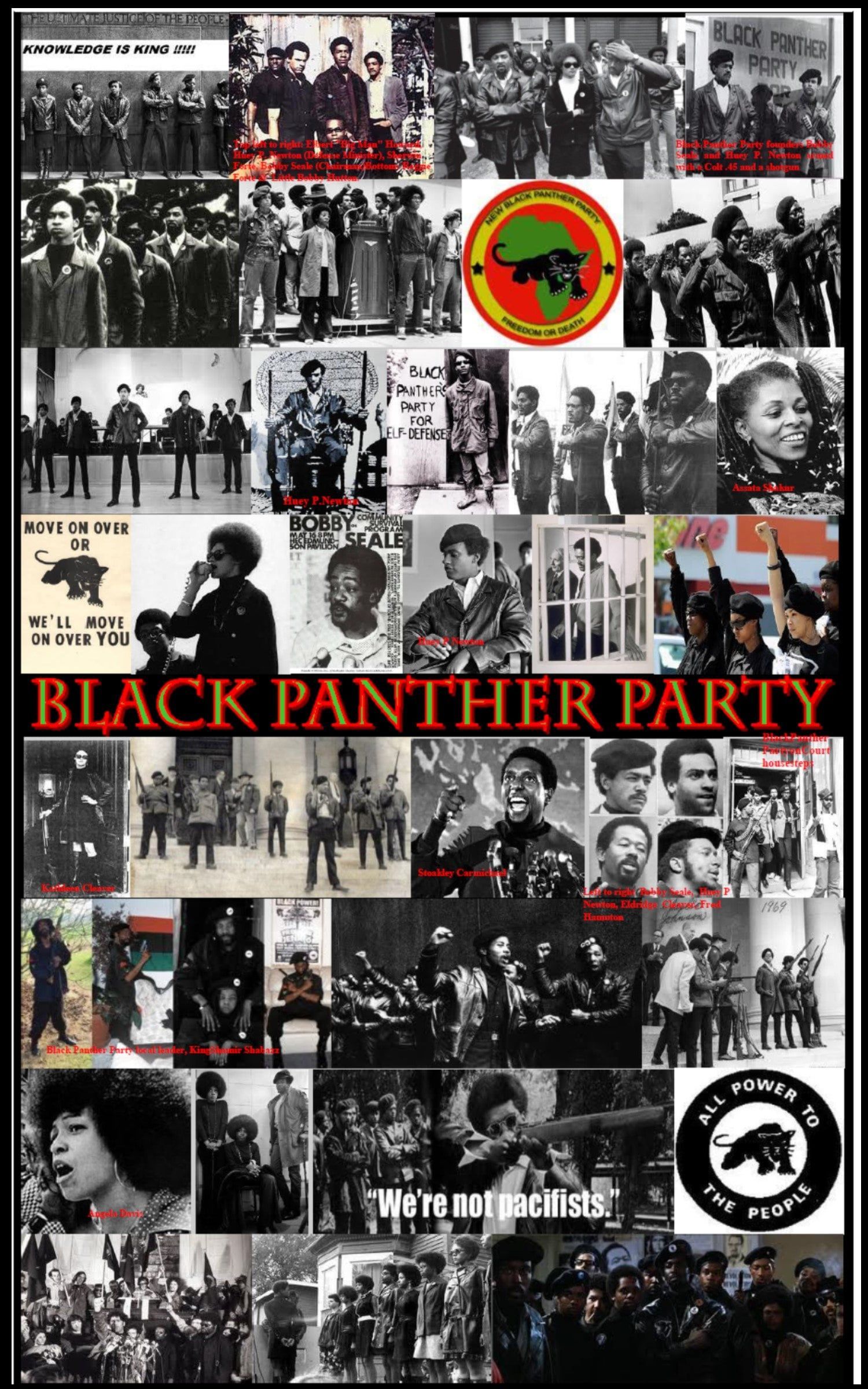 1500x2400 Black Panther Party Poster, Black History Poster, Black Power Poster, Black Panthers