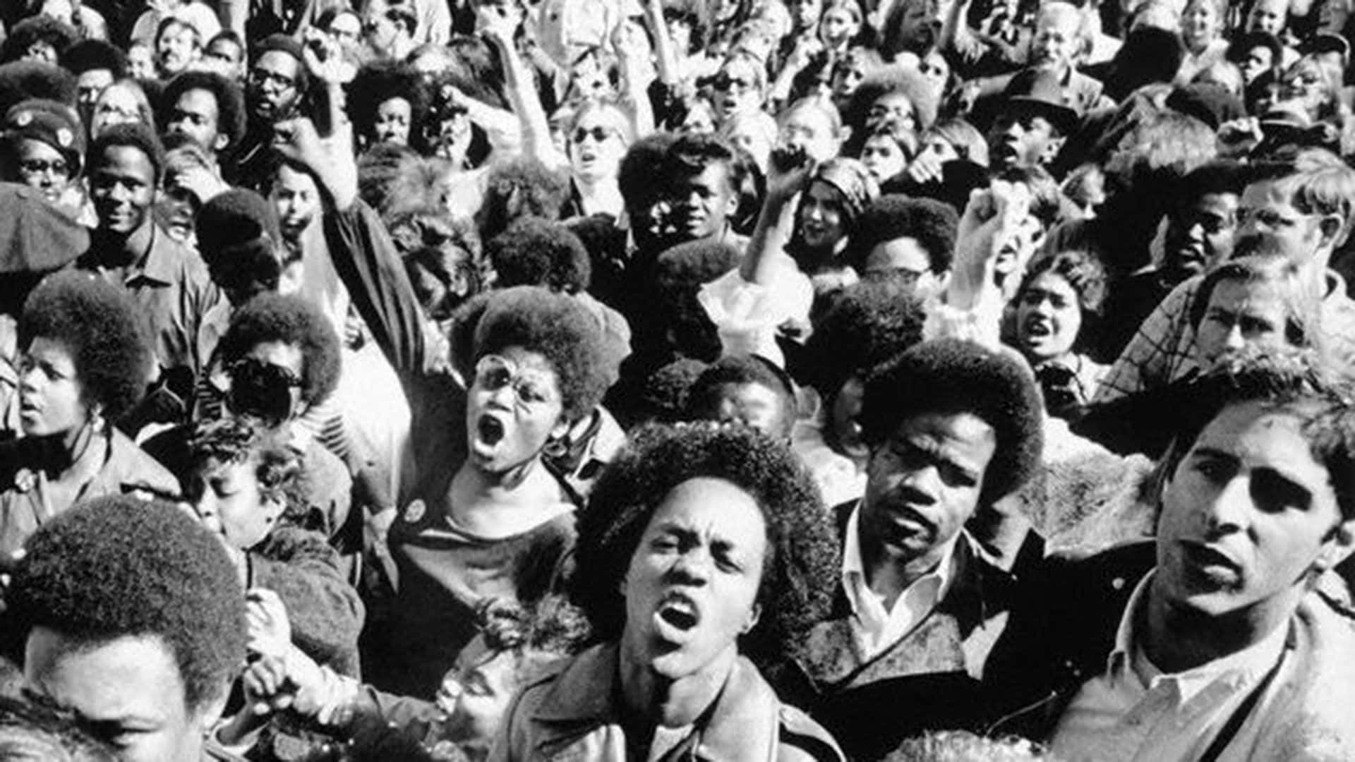 1920x1080 Download The Black Panther Party: Changing the Course of History in the 1960s Wallpaper