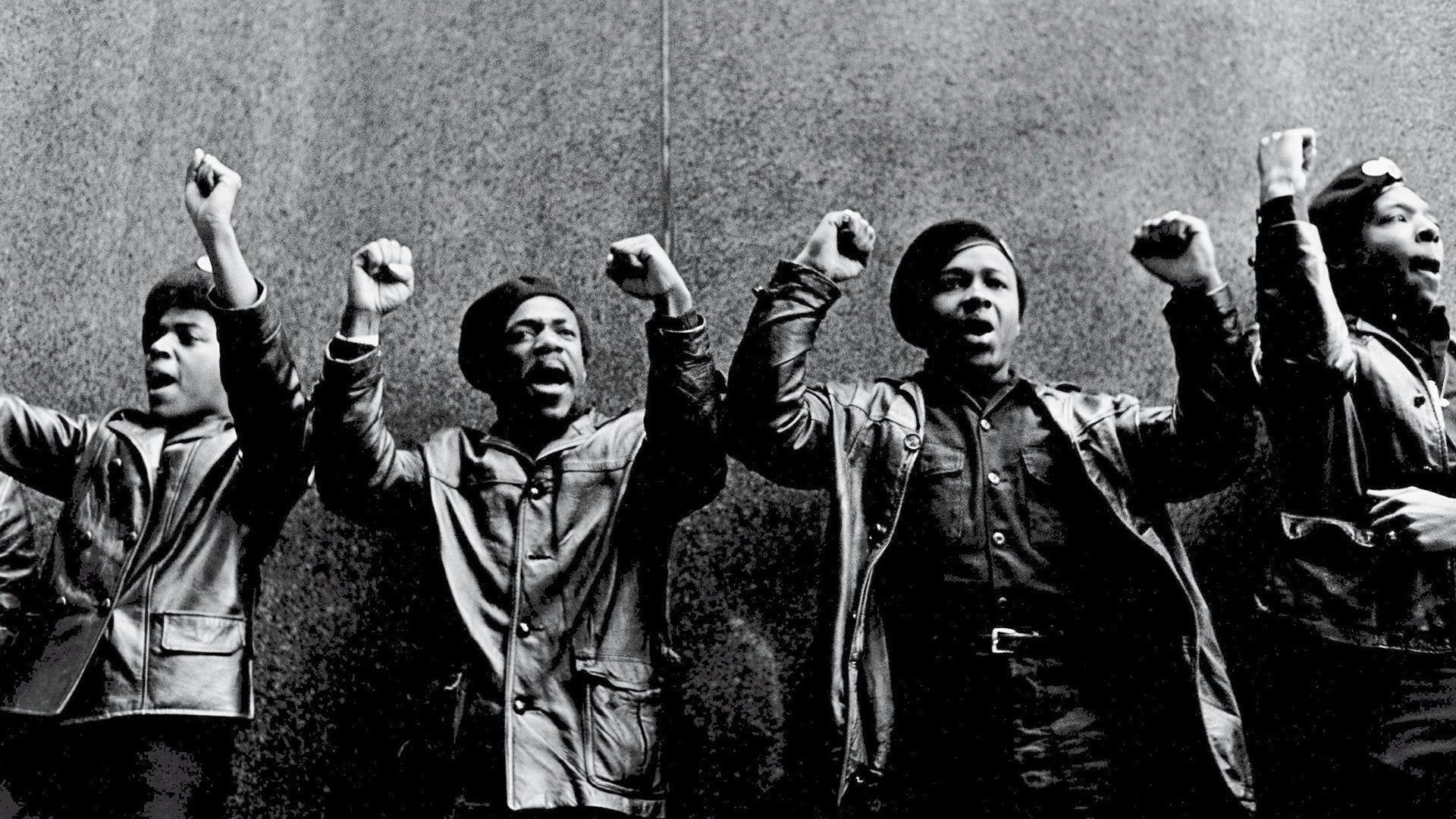1920x1080 Black Panthers. HISTORY, Definition & Timeline