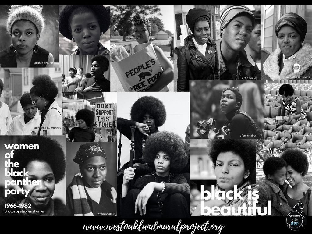 1024x768 WBPP Collage Poster