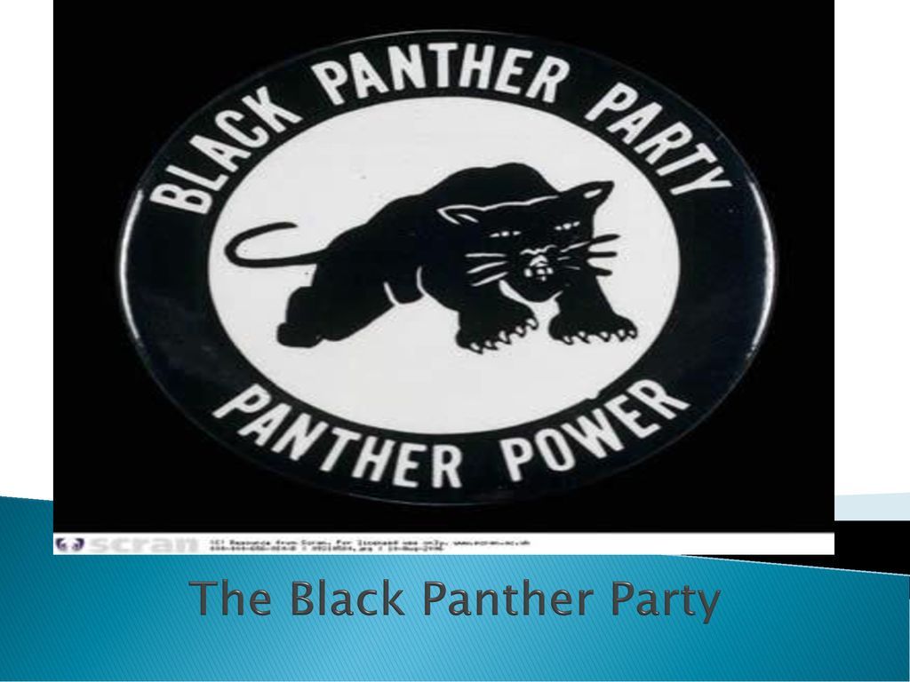 1024x768 The Black Panther Party