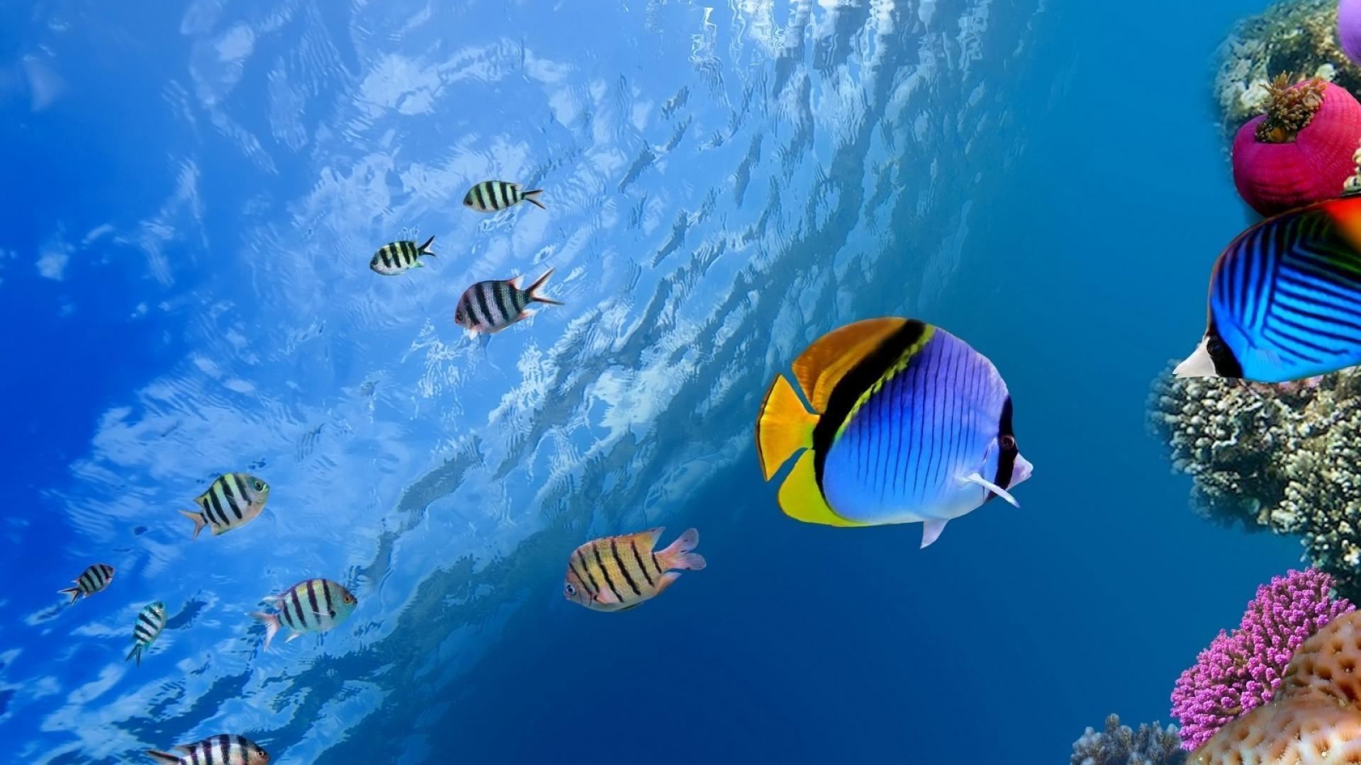 1920x1080 
