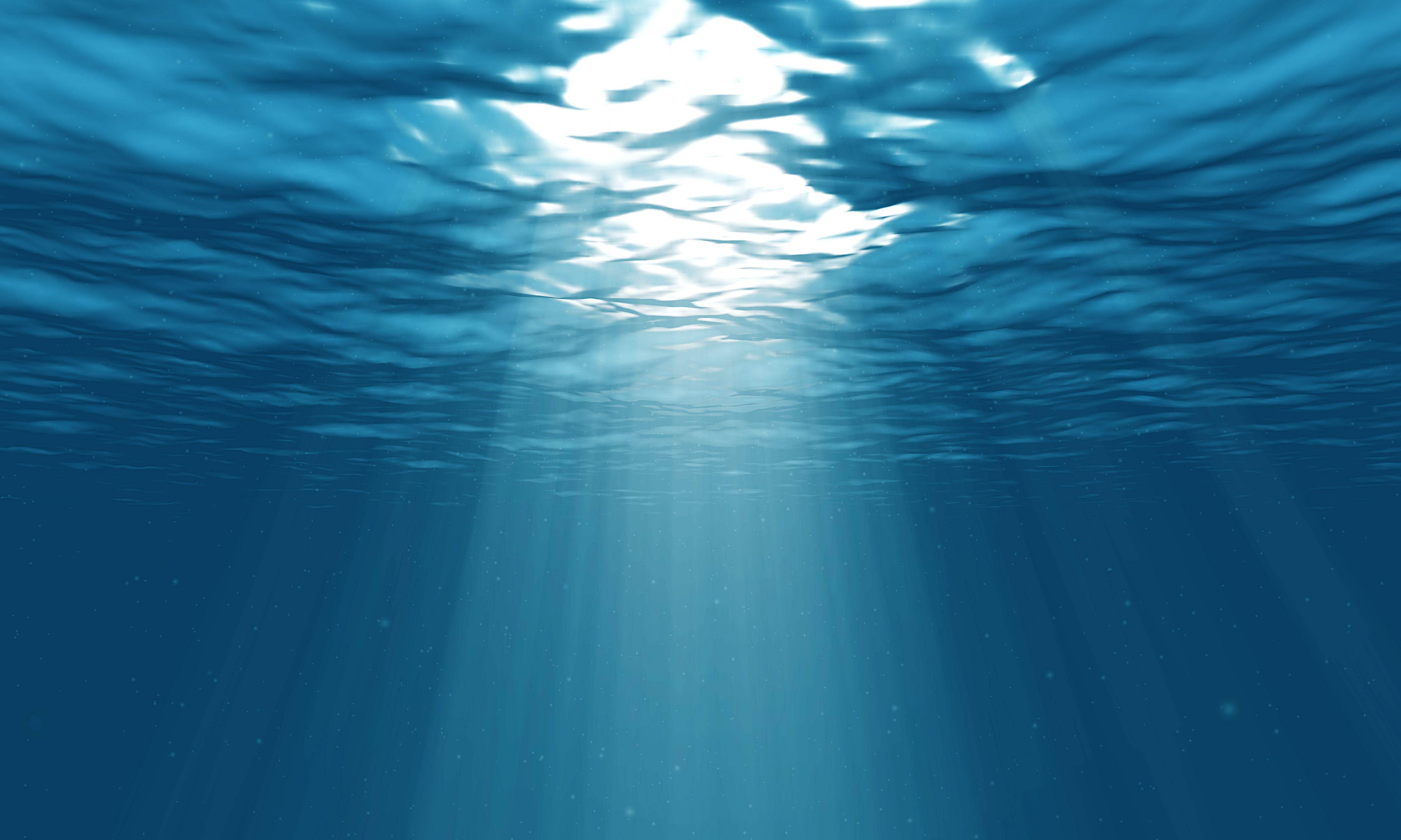 5000x3000 Ocean Underwater Wallpaper HD