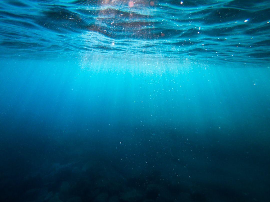 1080x810 Underwater Image. Download Free Image &