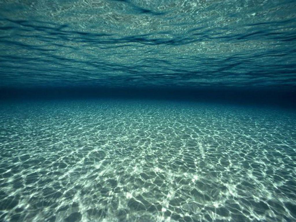 1024x768 Underwater Wallpaper