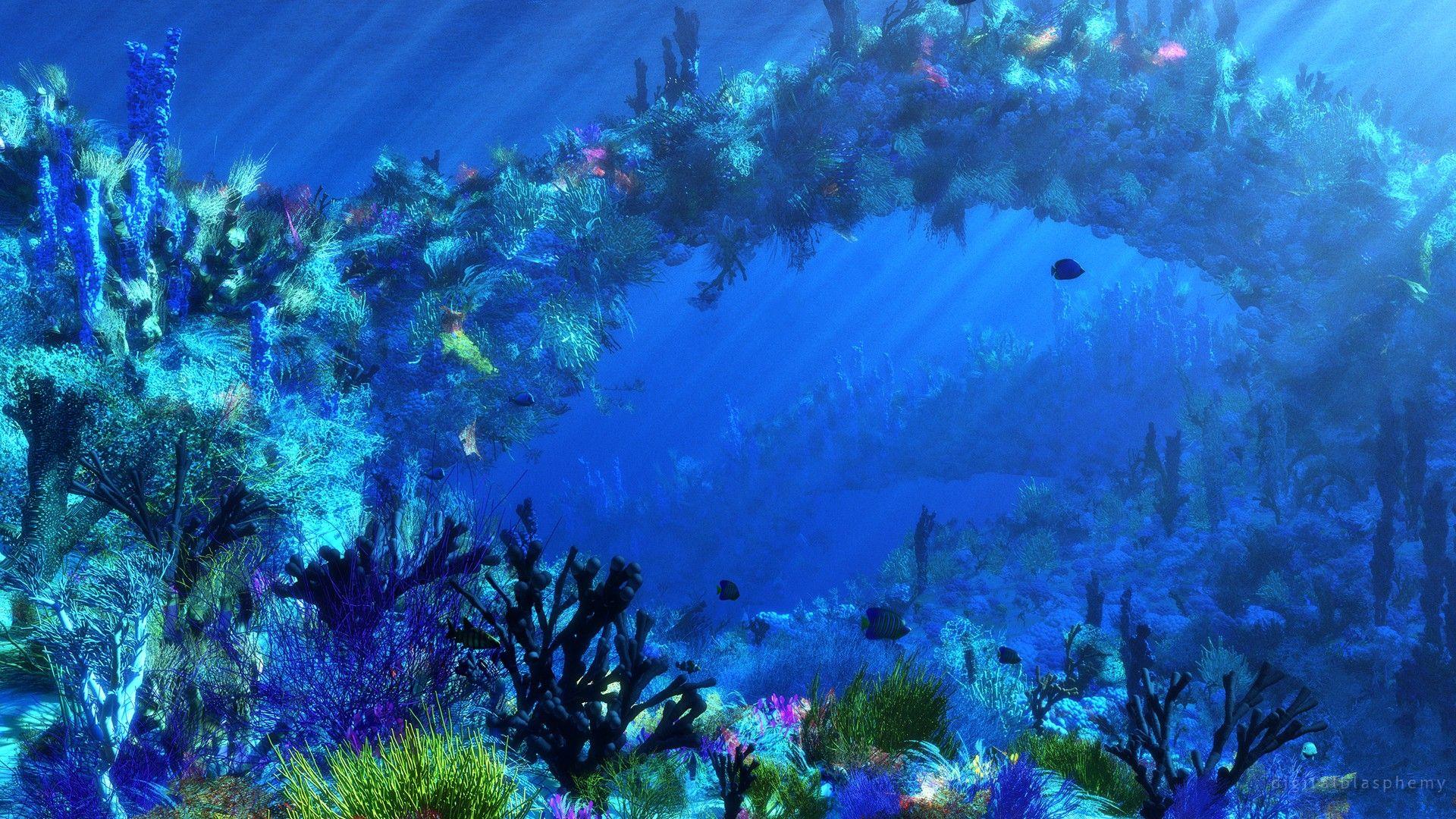 1920x1080 ocean, Tropical, Fish, Underwater Wallpaper HD / Desktop