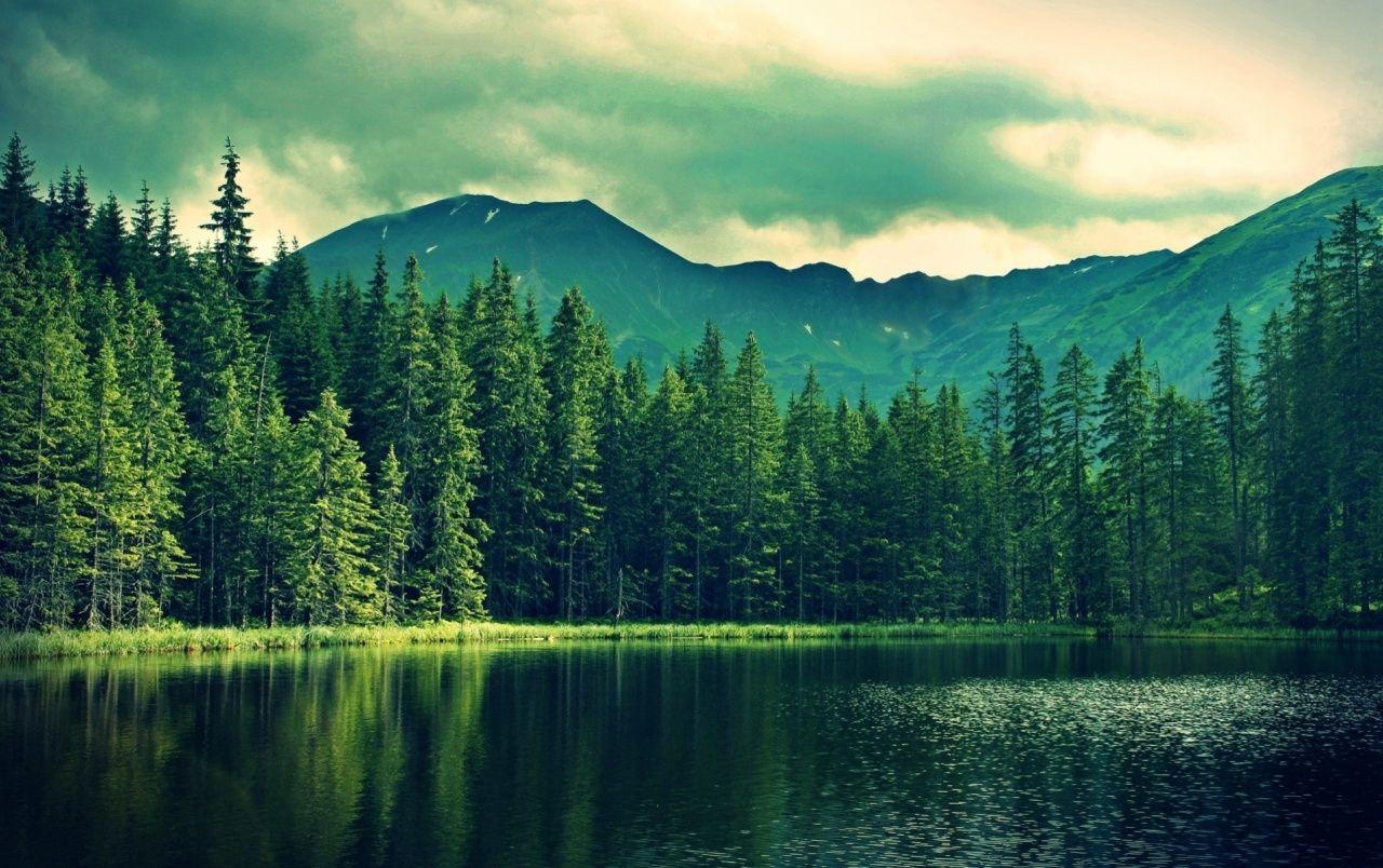 1280x804 Mountain Green Forest Deep Sea wallpaper. Mountain Green