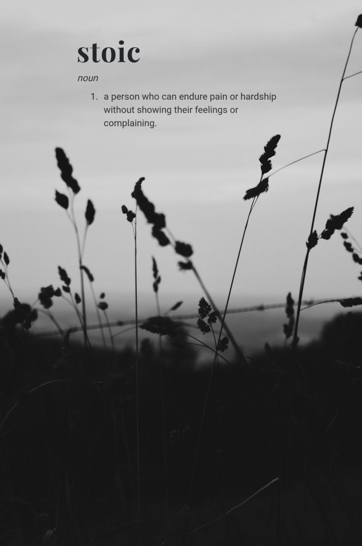 736x1111 Stoic Aesthetic Wallpaper. Stoic, Stoic quotes, Gentleman aesthetic