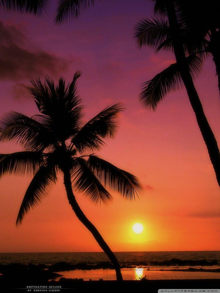 Tropical Sunset Wallpapers - Top Free Tropical Sunset Backgrounds ...