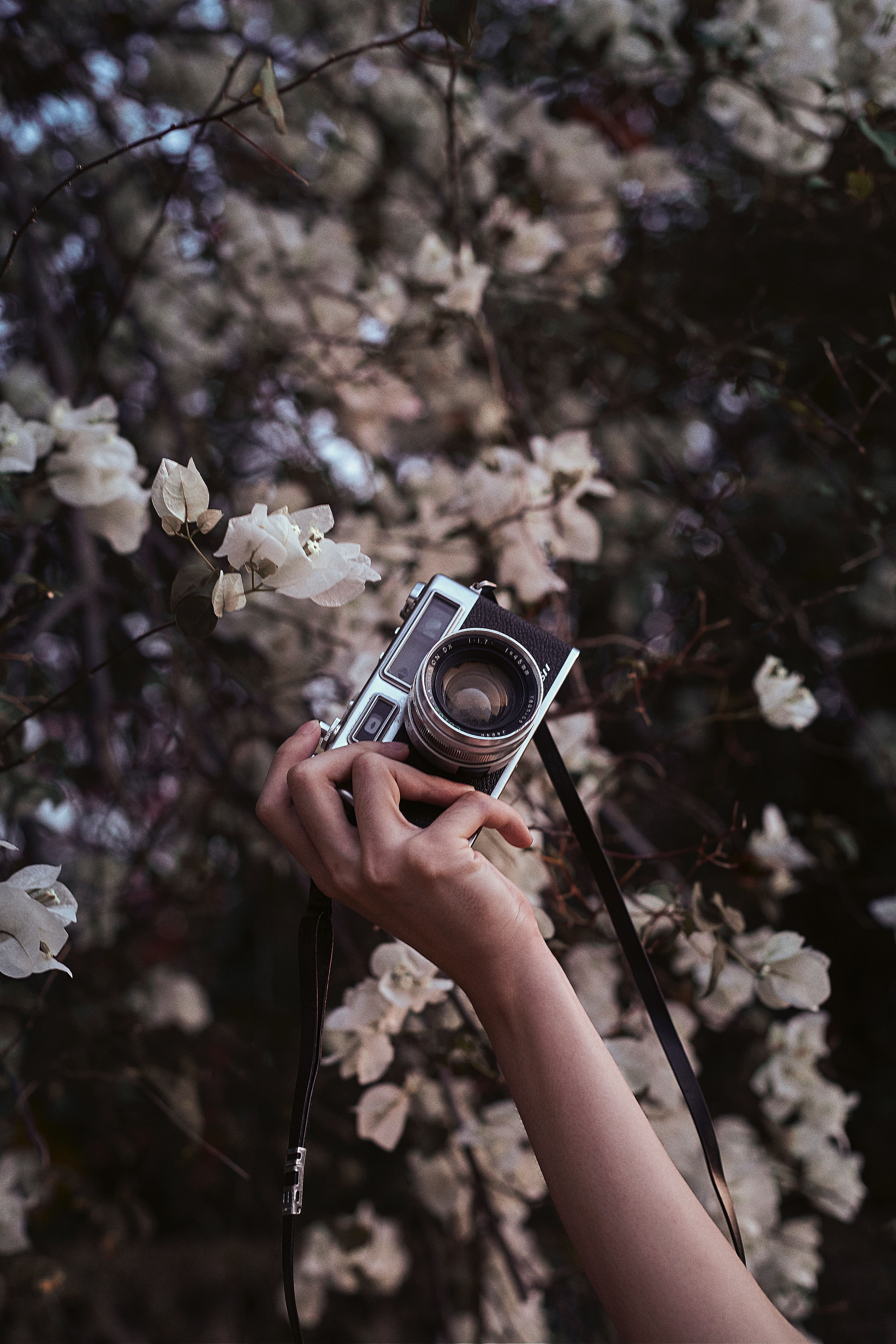 3611x5417 Download Camera wallpaper for mobile phone, free Camera HD picture