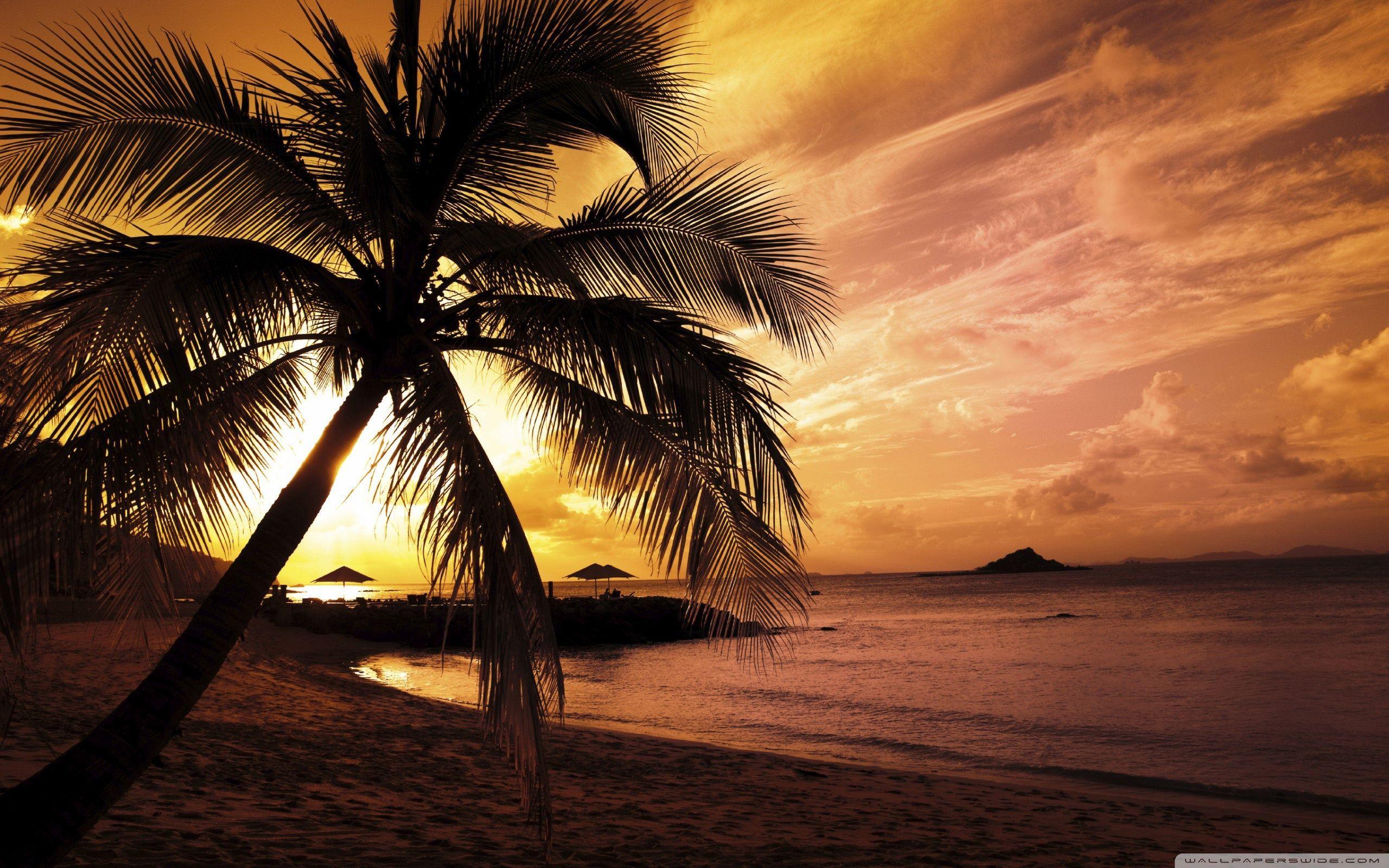 2560x1600 Tropical Beach Sunset Hình nền HD - Tải xuống tại