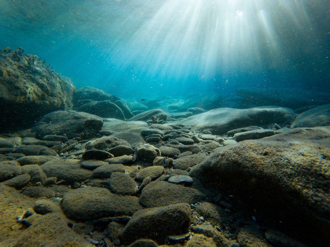 1080x810 Underwater Image. Download Free Image &