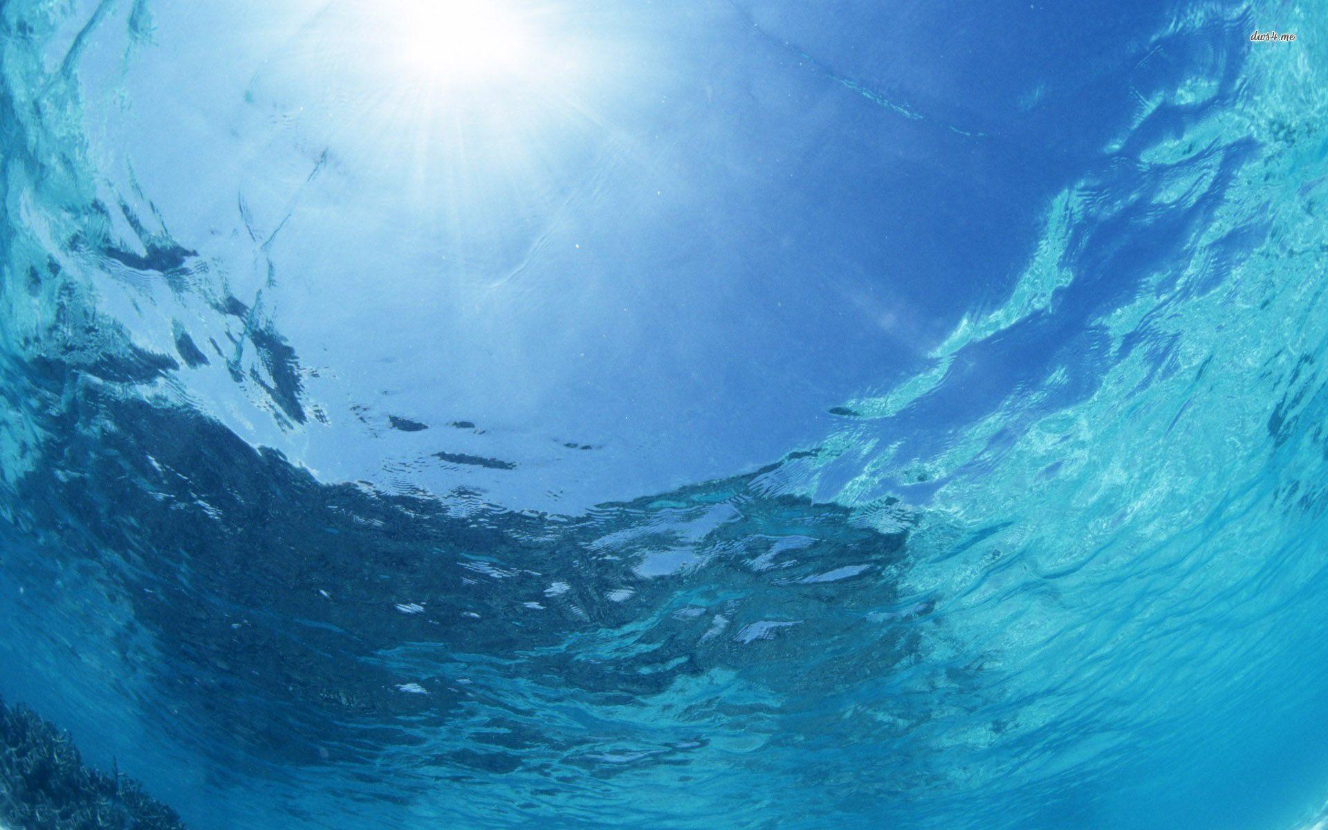 1920x1200 Underwater Ocean Wallpaper , Wallpaper Download, 31