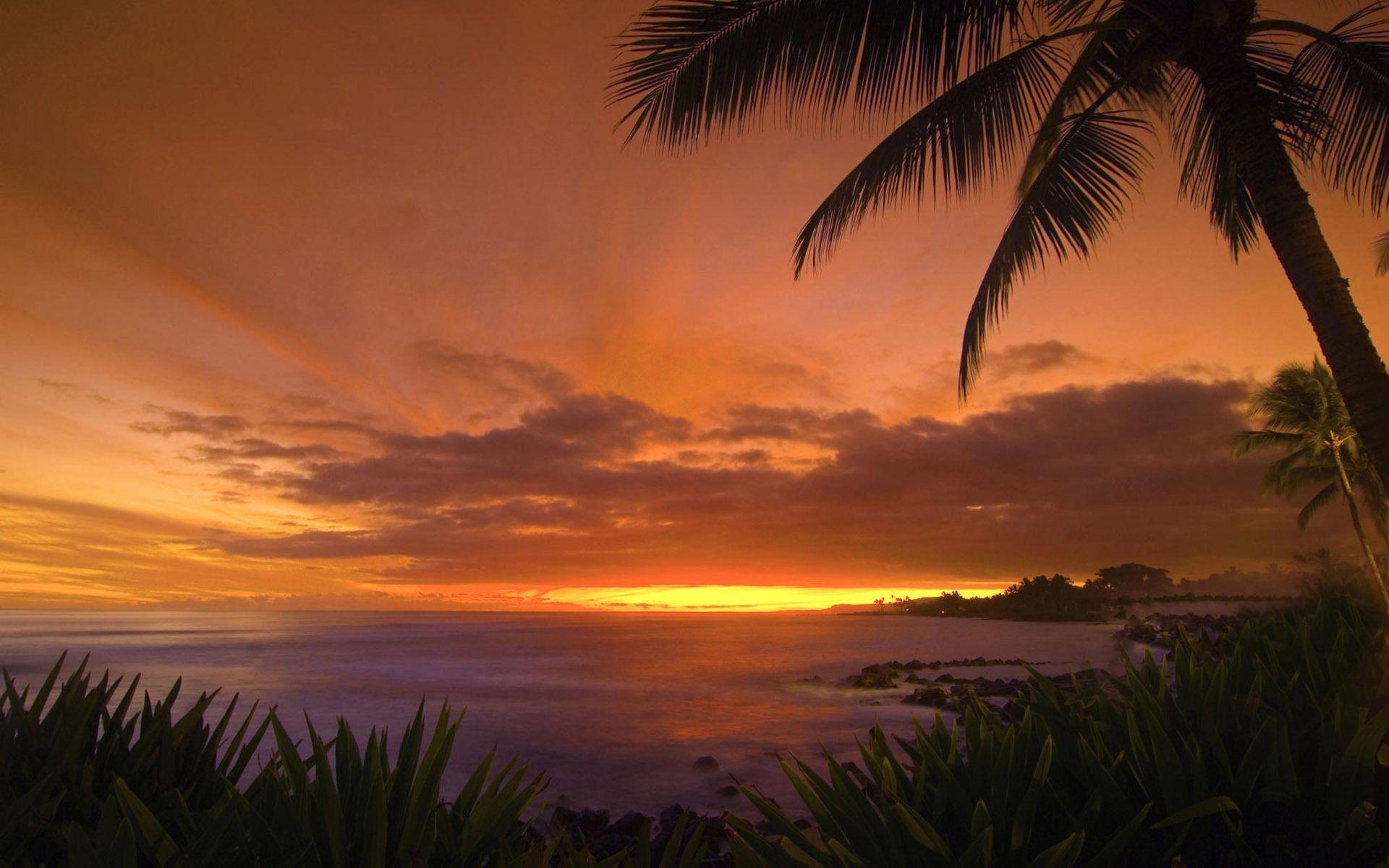 Tropical Sunset Wallpapers Top Free Tropical Sunset Backgrounds Wallpaperaccess
