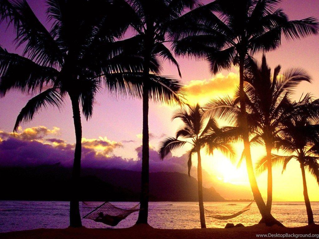 1024x768 Tropical Sunset Wallpaper Desktop Background