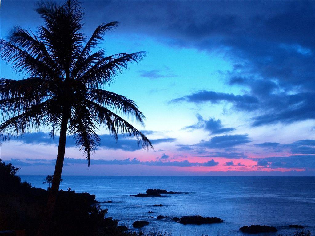 1024x768 Tropical Sunset Background 10744 HD Wallpaper in Beach n